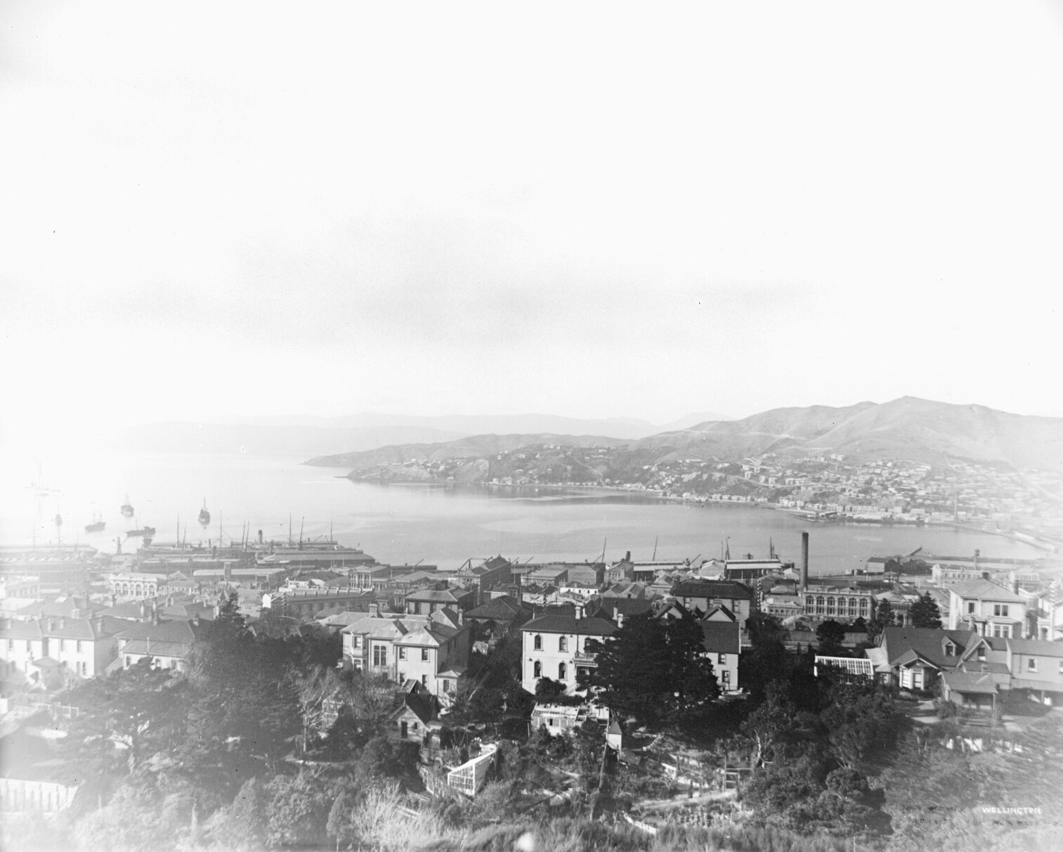 Wellington from Kelburn Hills