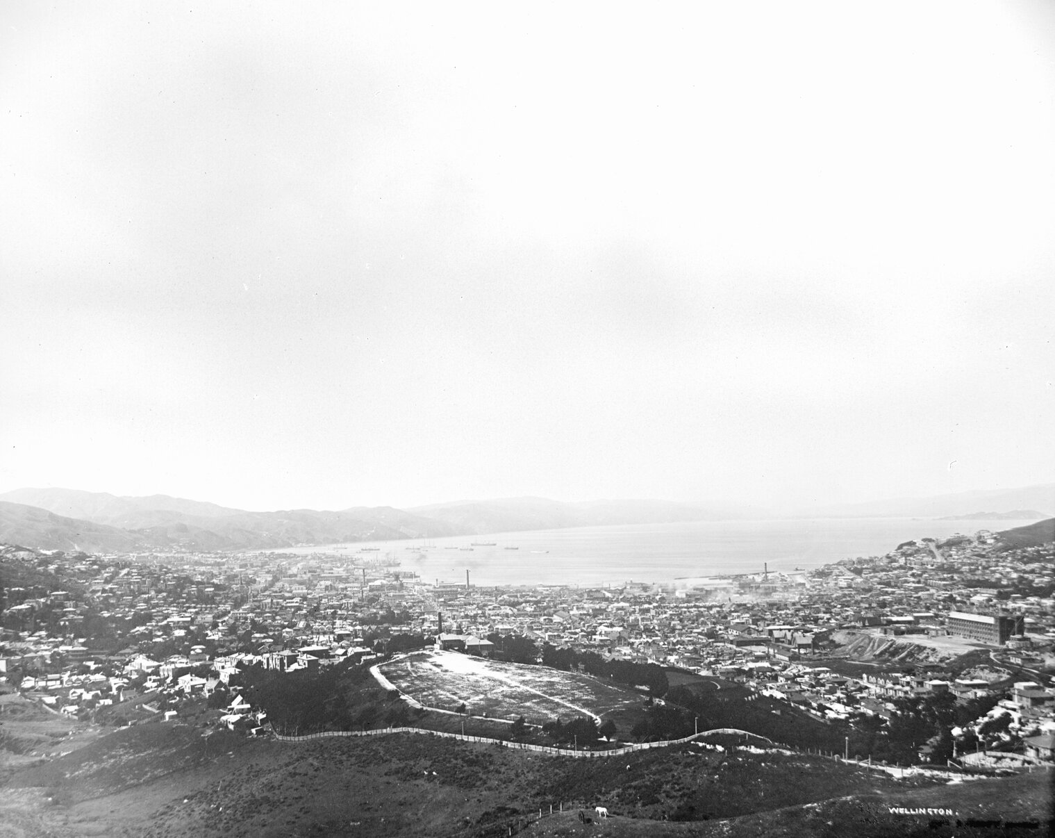 Wellington from Brooklyn