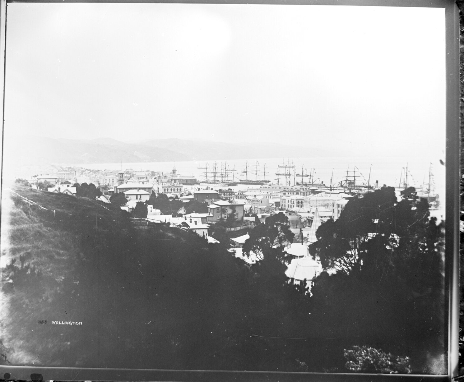 Elevated view of Wellington
