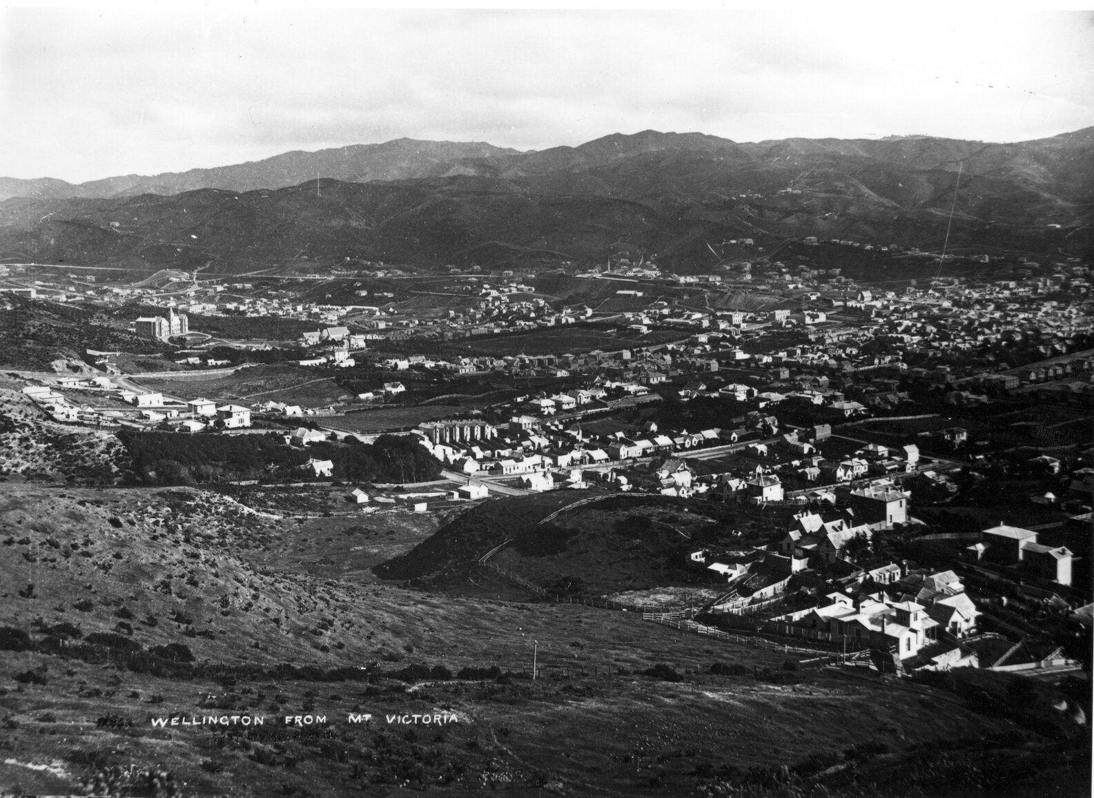 Elevated view of Te Aro and Mount Cook, Wellington