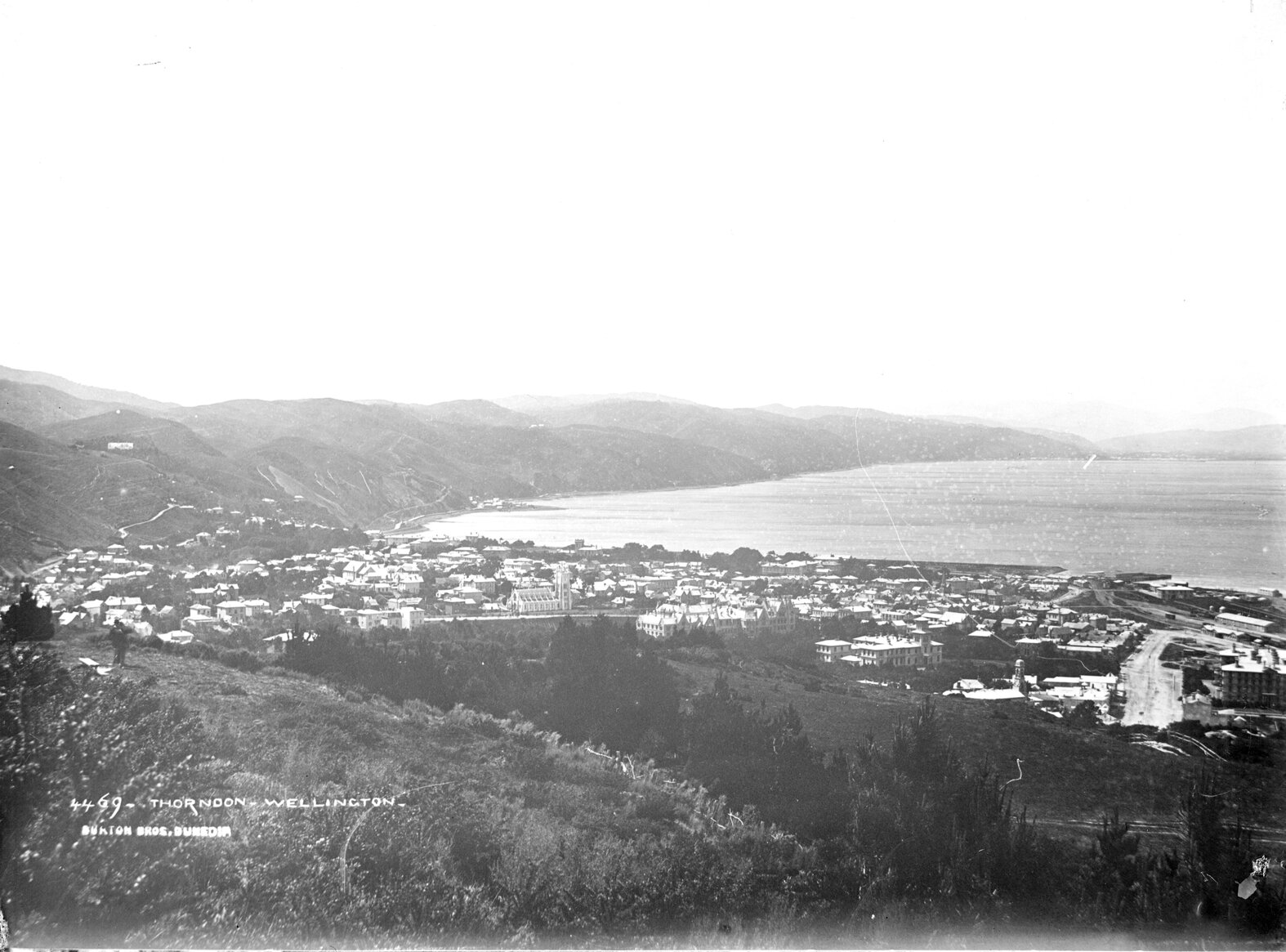 Elevated view of Thorndon