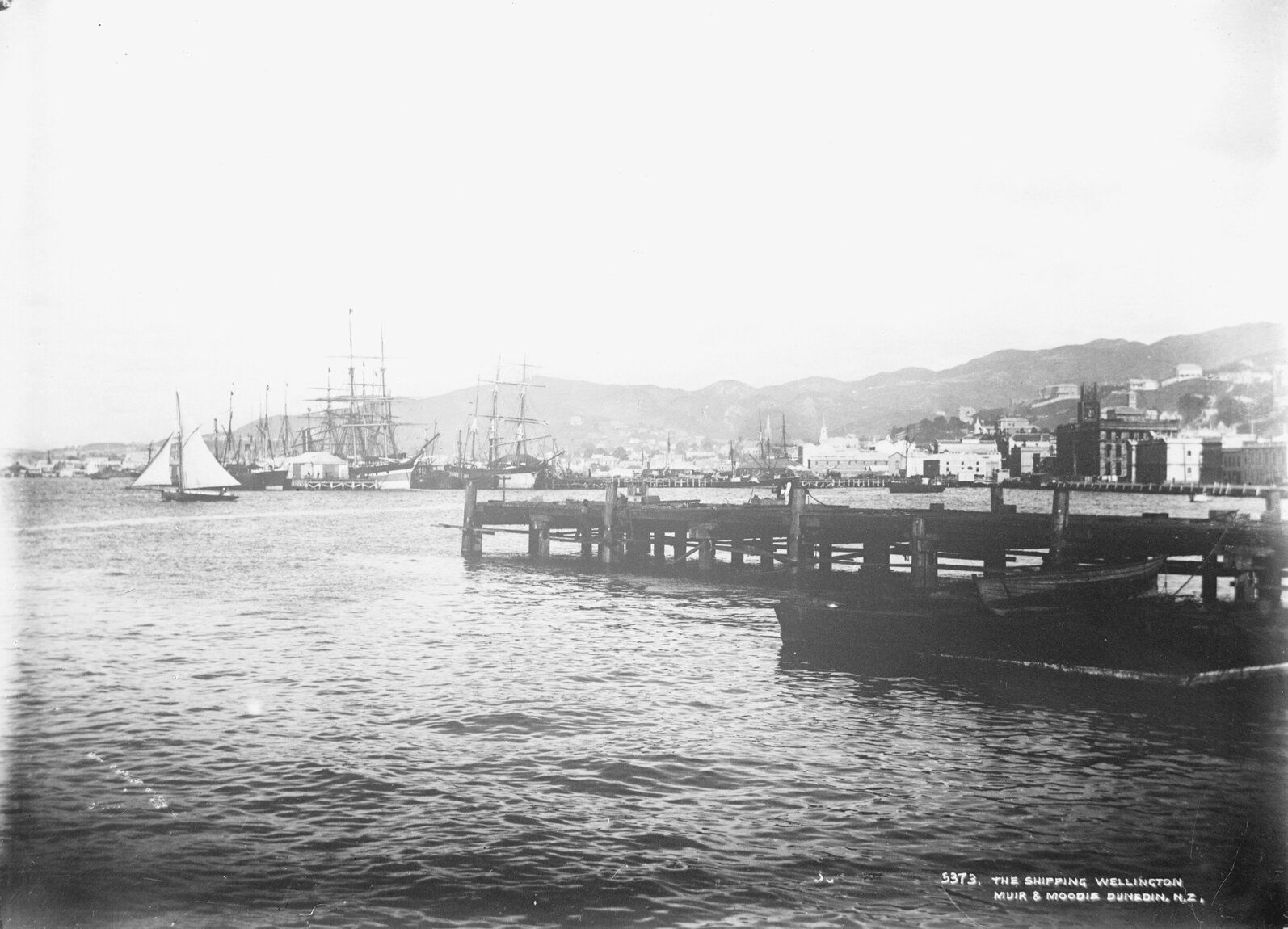 Wellington Harbour Shipping