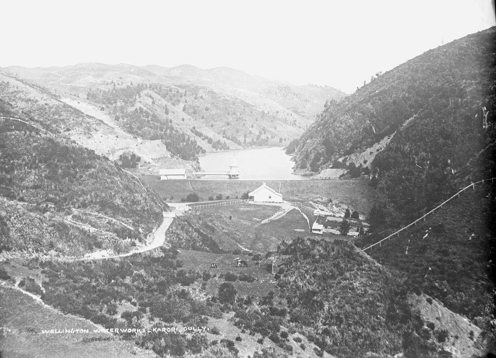 Wellington Waterworks - Karori Gully