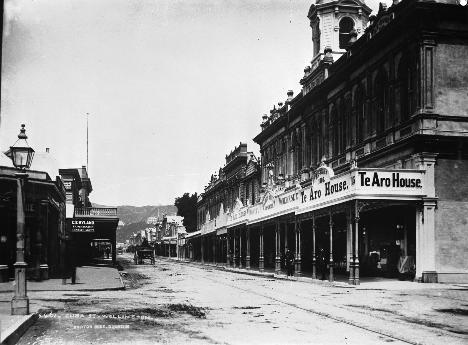 Te Aro House, corner of Dixon Street and Cuba Street