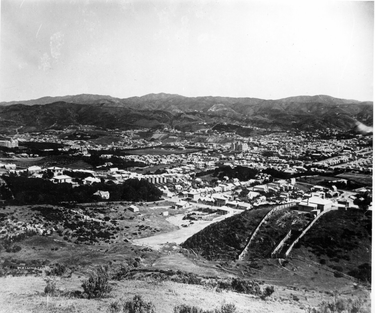 Wellington from Mount Victoria