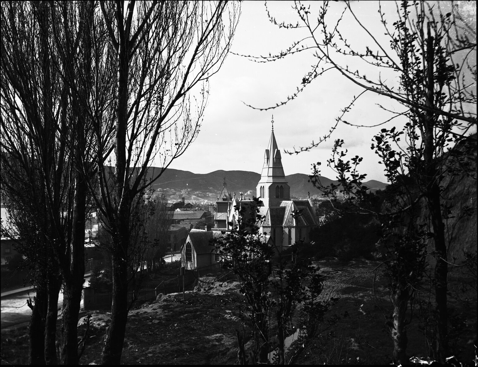 Saint Mary of the Angels, Boulcott Street, Wellington