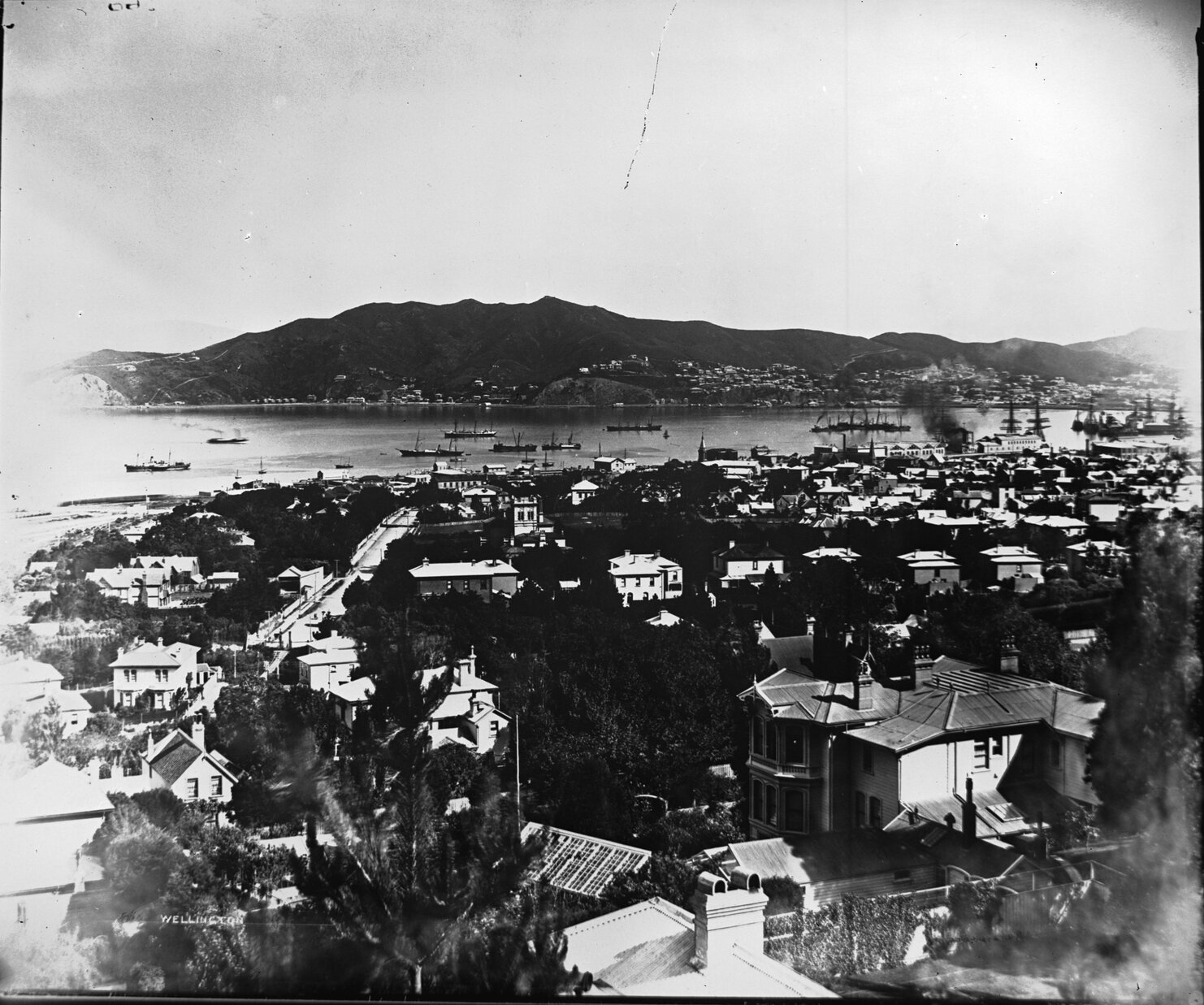 Elevated view of Thorndon Flat