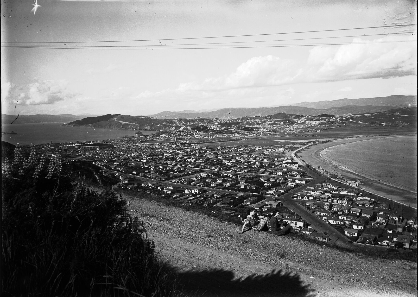 Elevated view of Rongotai, Lyall Bay