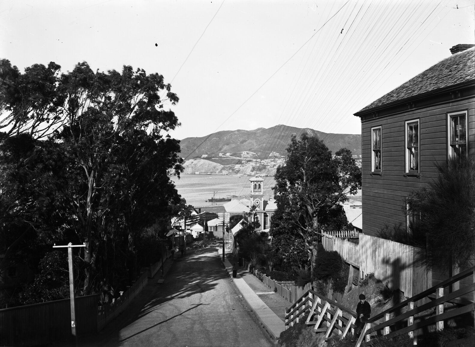 Top end of Boulcott Street, looking towards the harbour