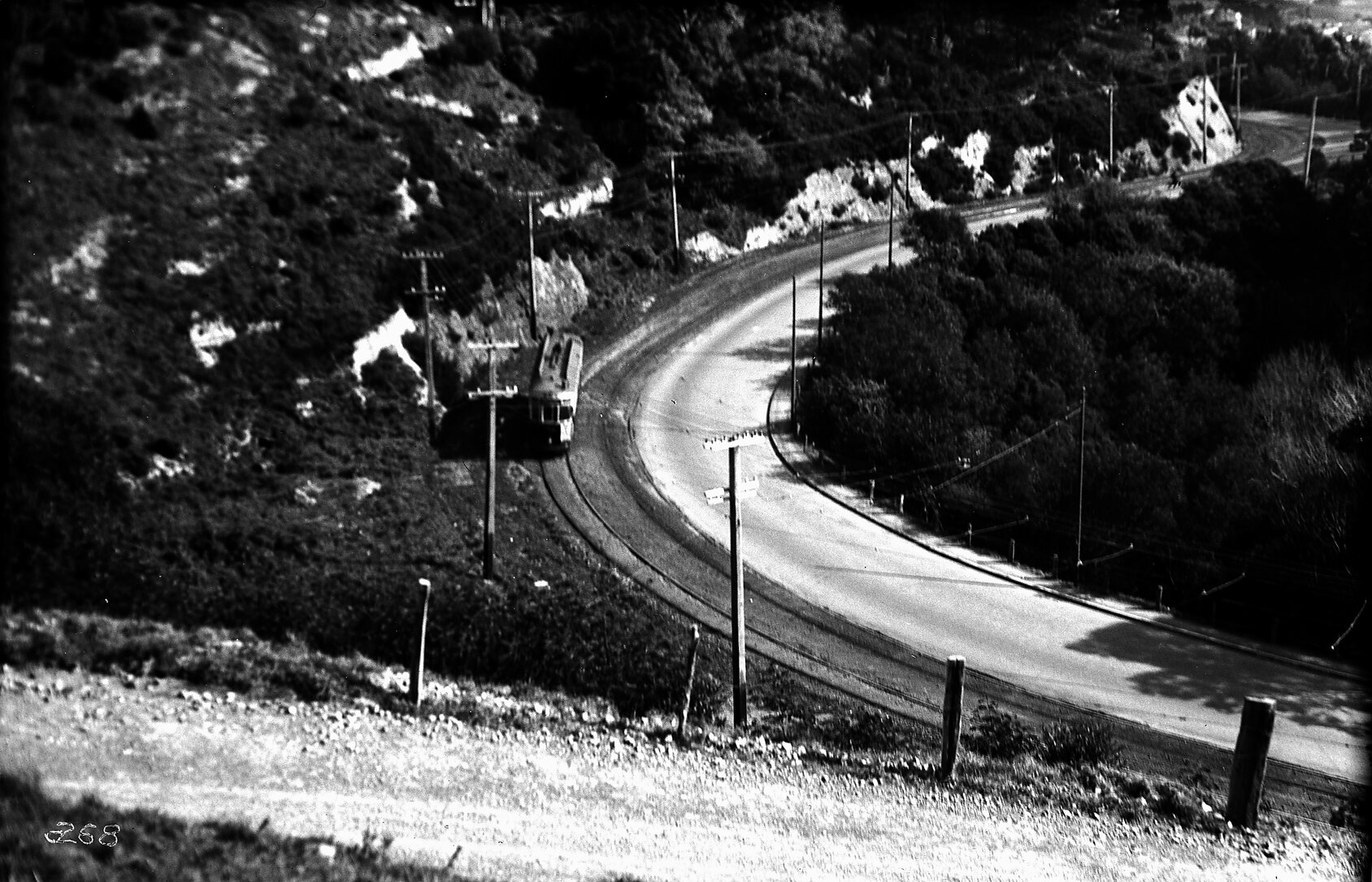 Tram descending Brooklyn Road