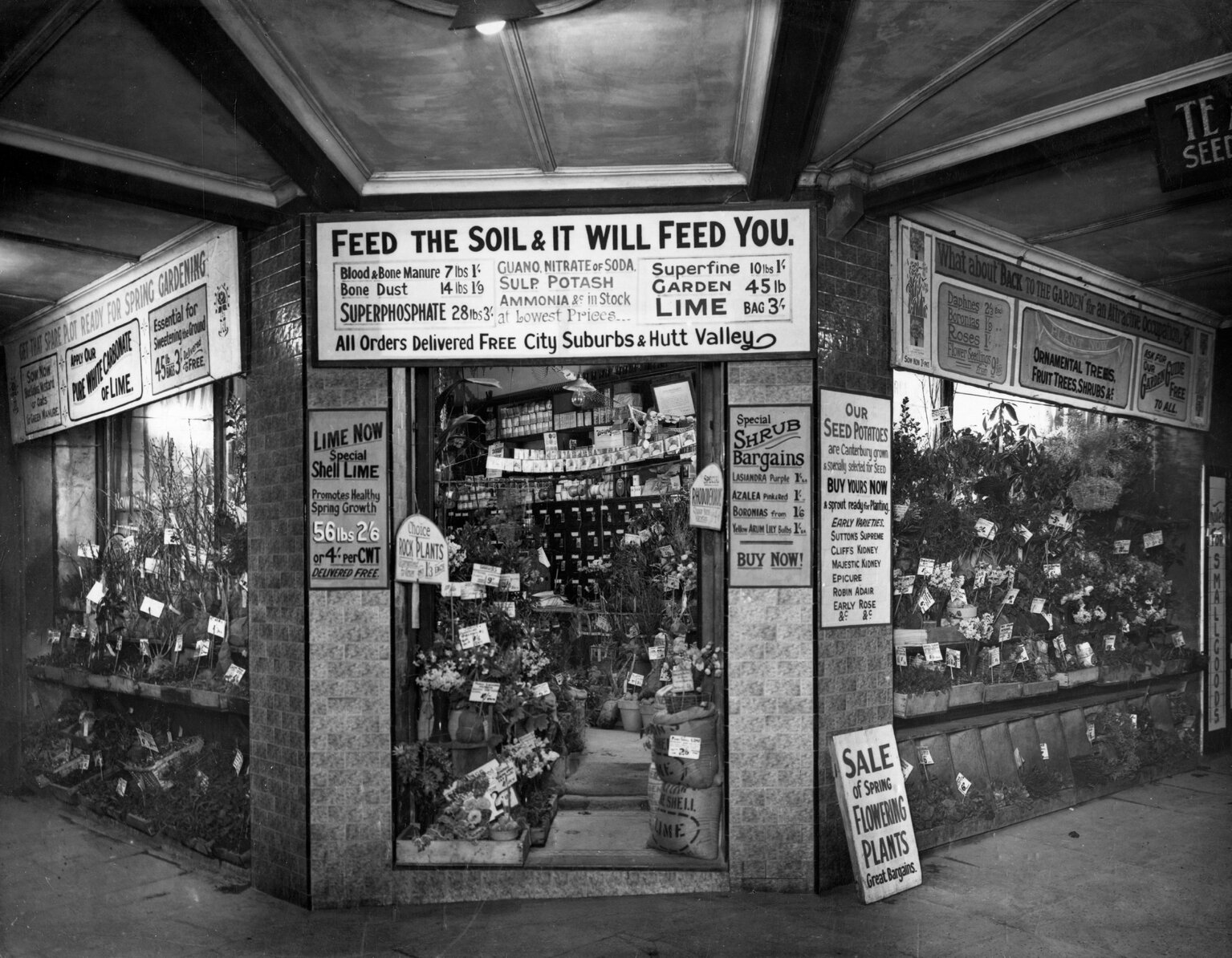 Te Aro Seed Company, shop front, Courtenay Place