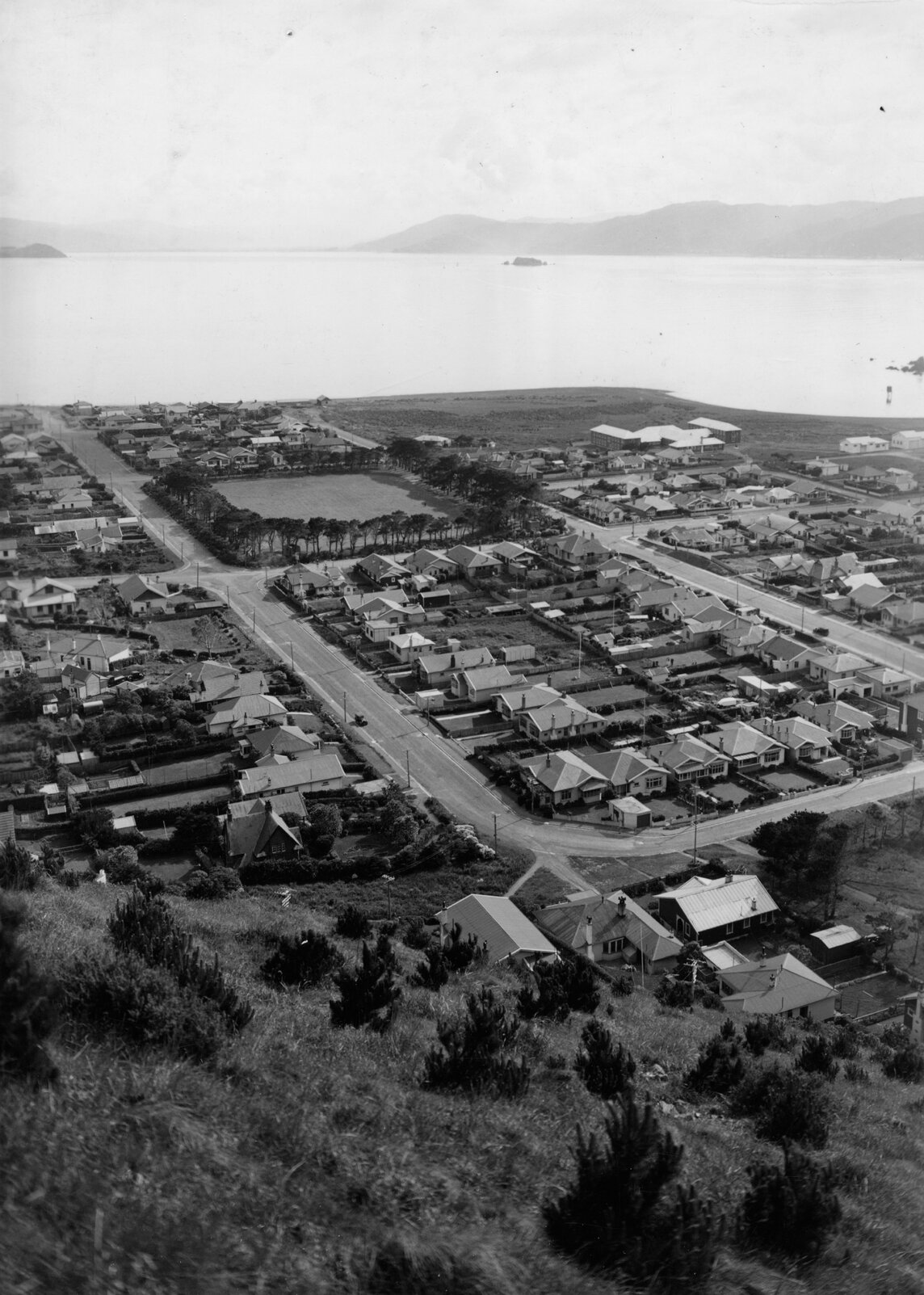 Elevated view of Seatoun