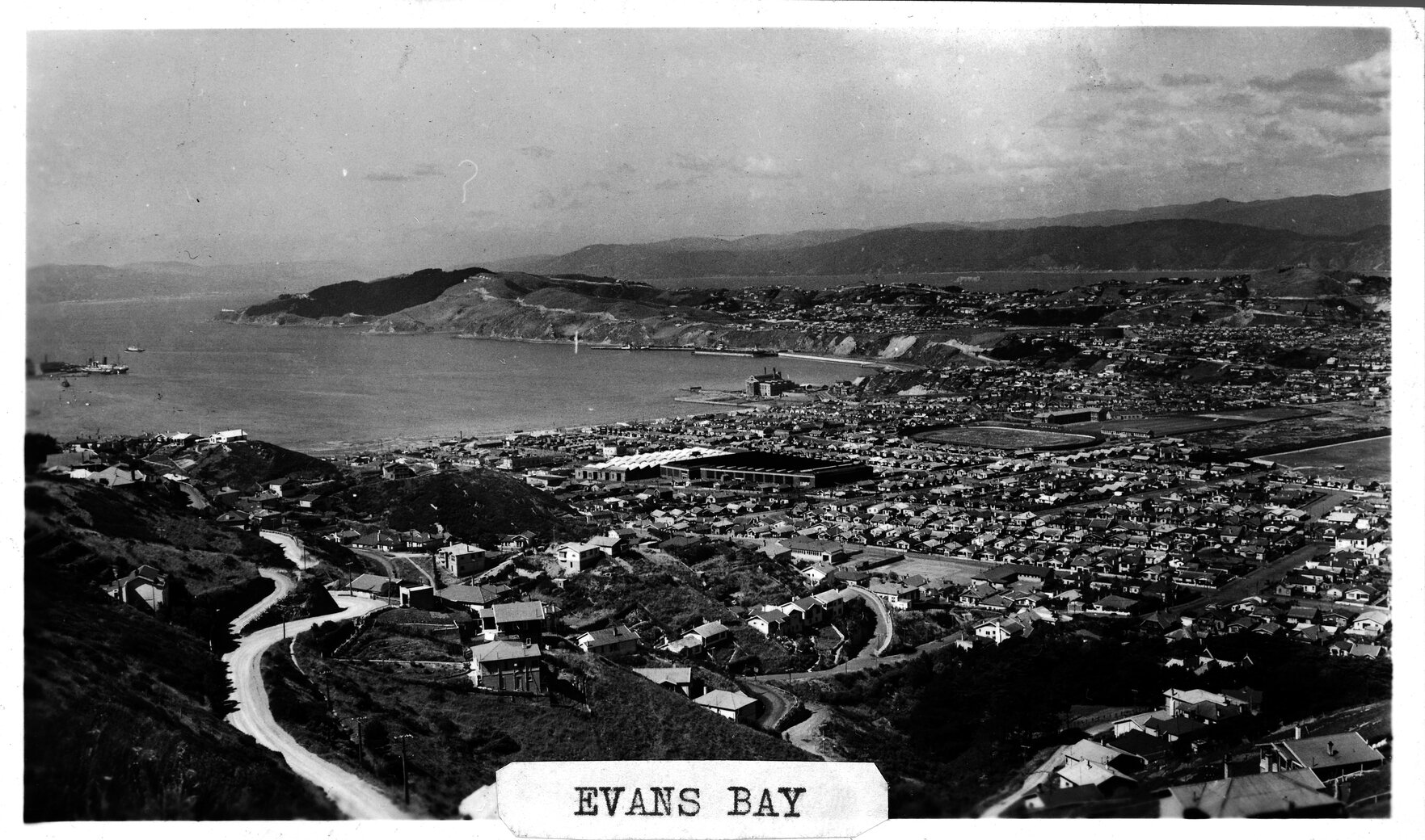 Elevated view of Evans Bay