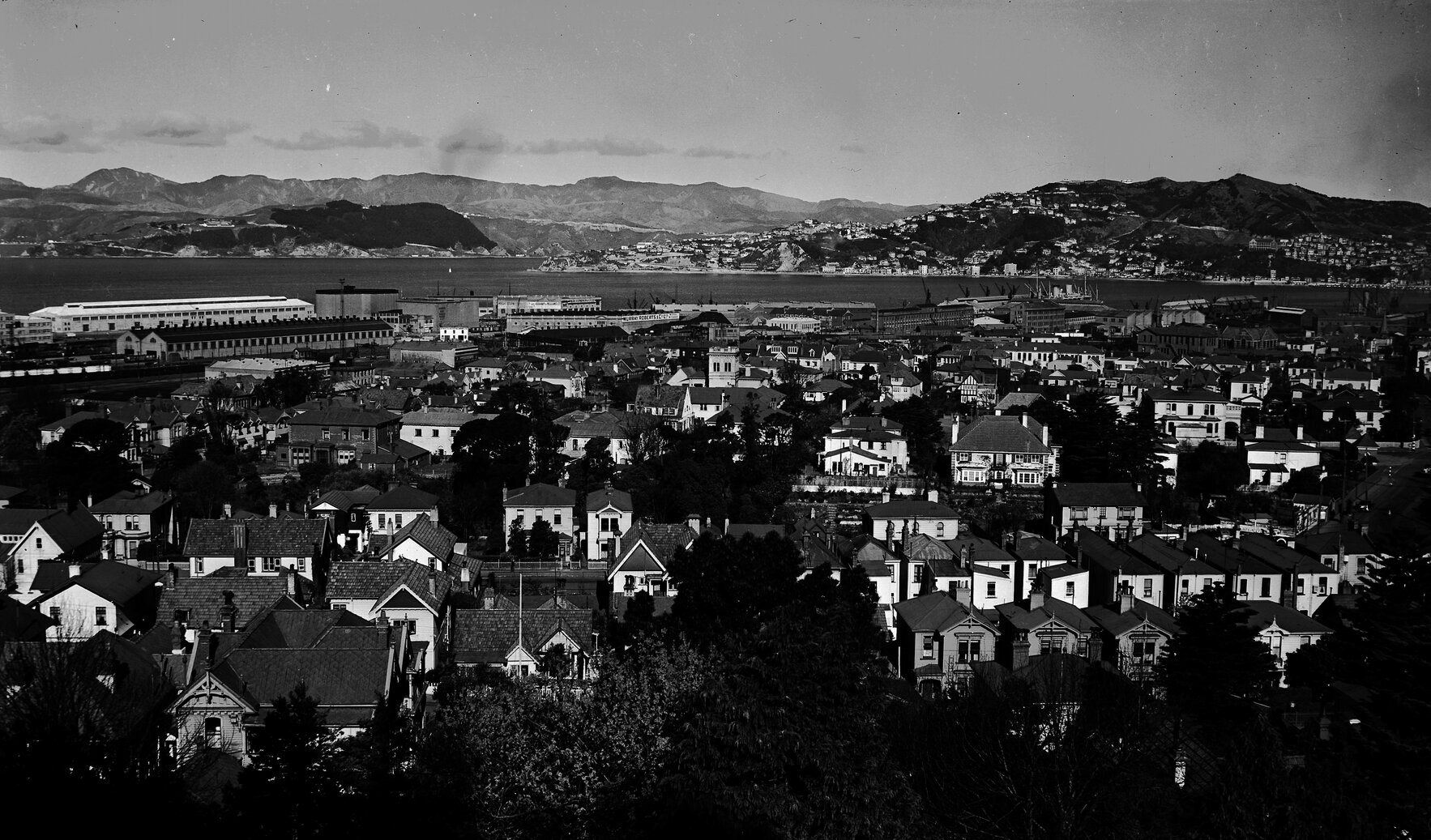 Elevated view of Thorndon flats