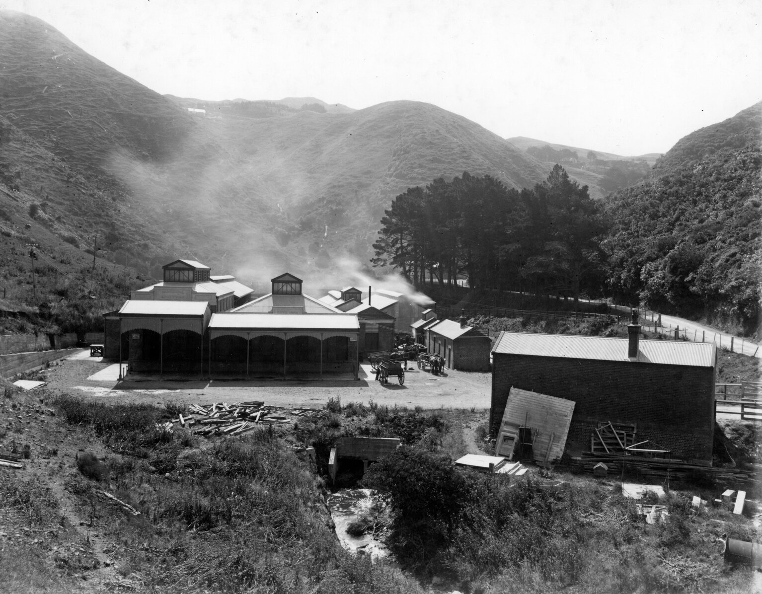 City Abattoir, Ngauranga