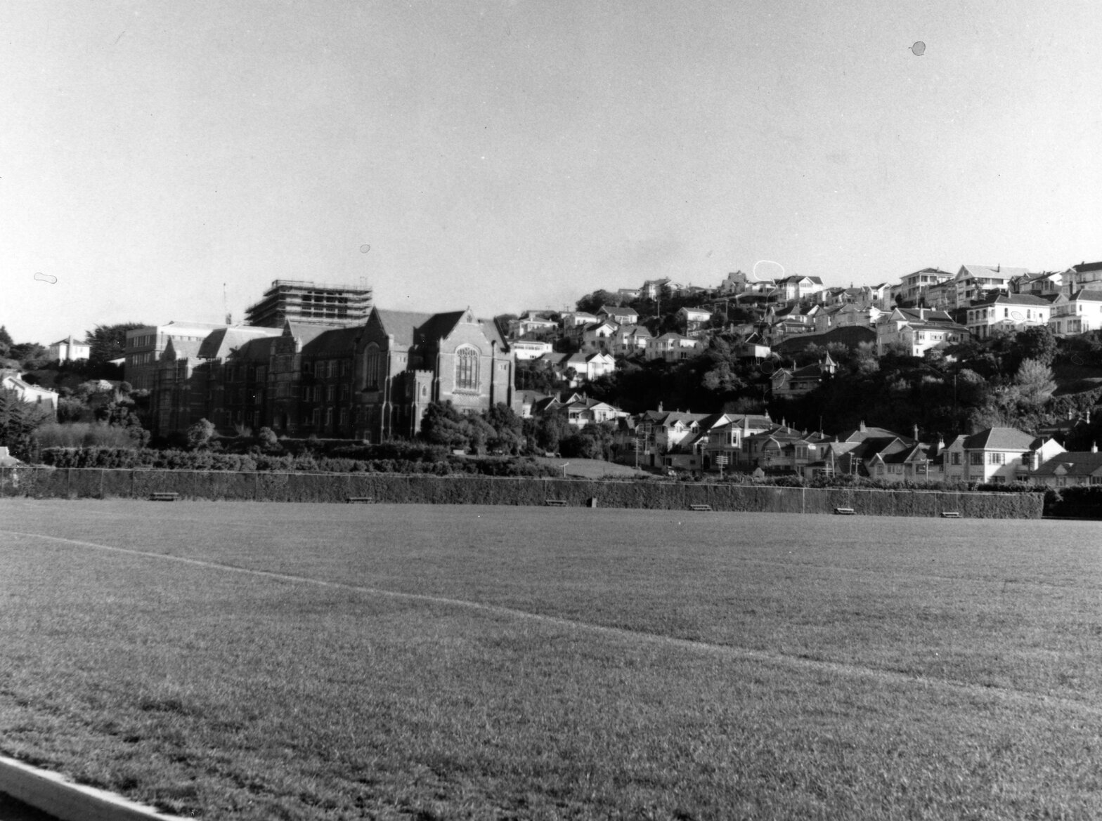 Kelburn Park playing fields, looking towards the Hunter Building, Victoria University