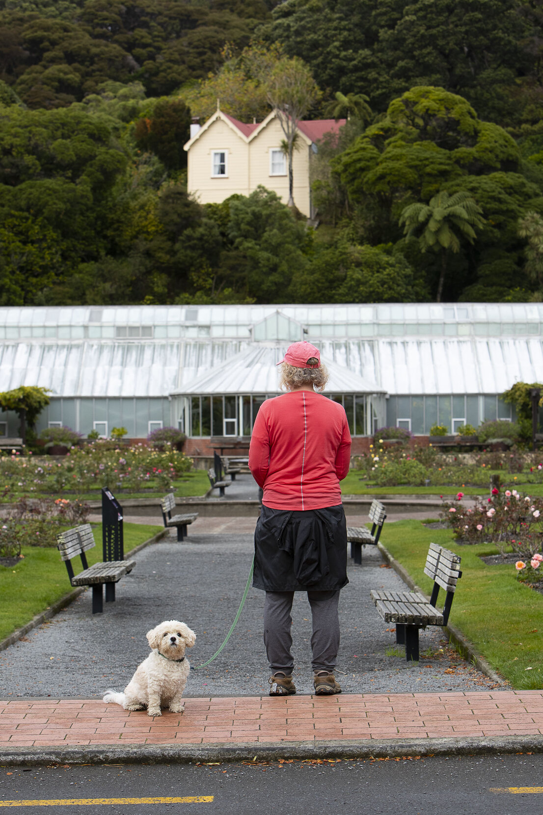 Wellington COVID 19 Lock Down walk and drive around