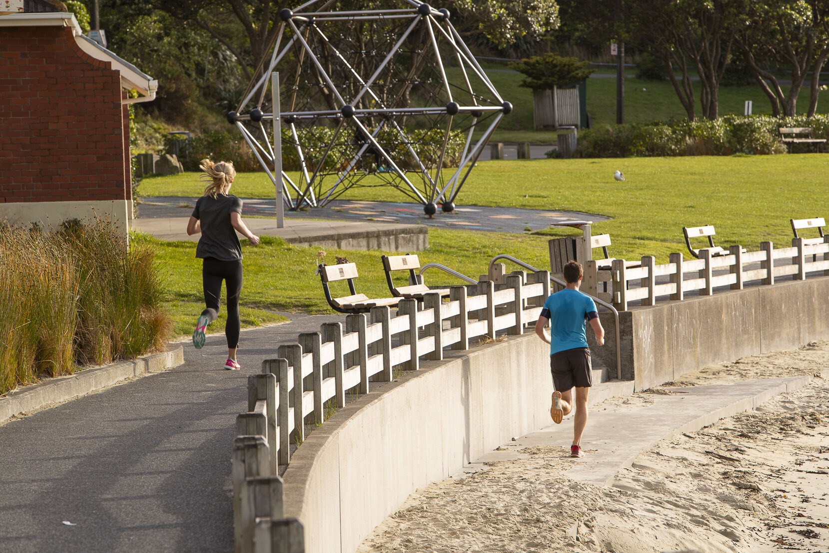 Wellington COVID 19 Lock Down coastal drive