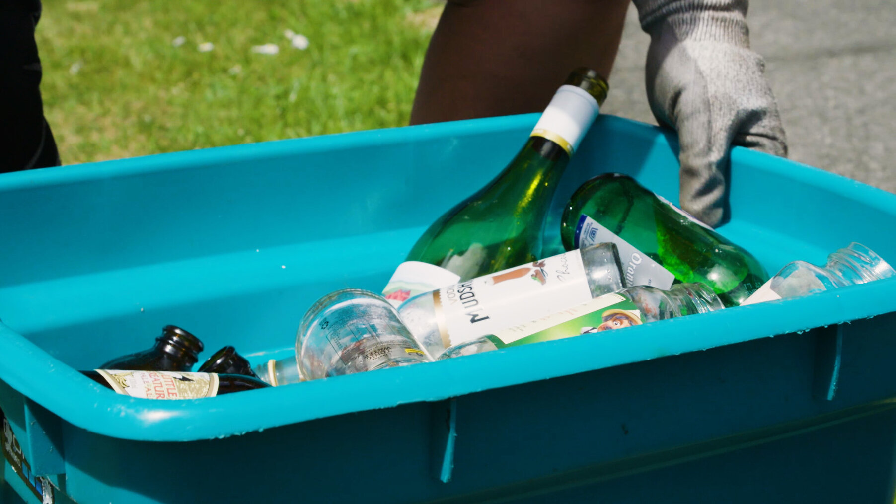 Wellington Glass Sorting