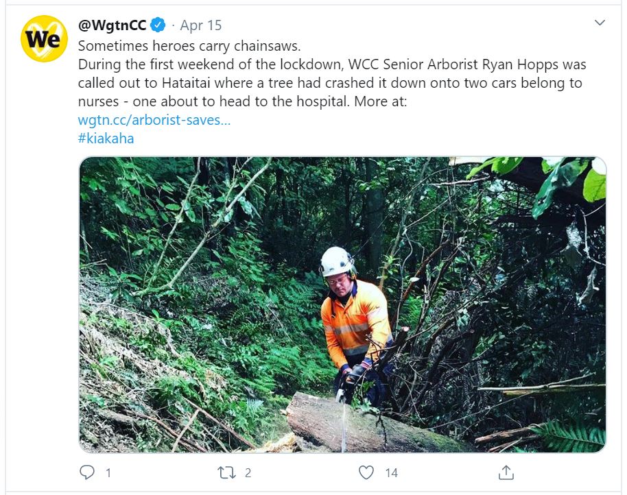 Tweet - News - Arborist saves the day for two nurses