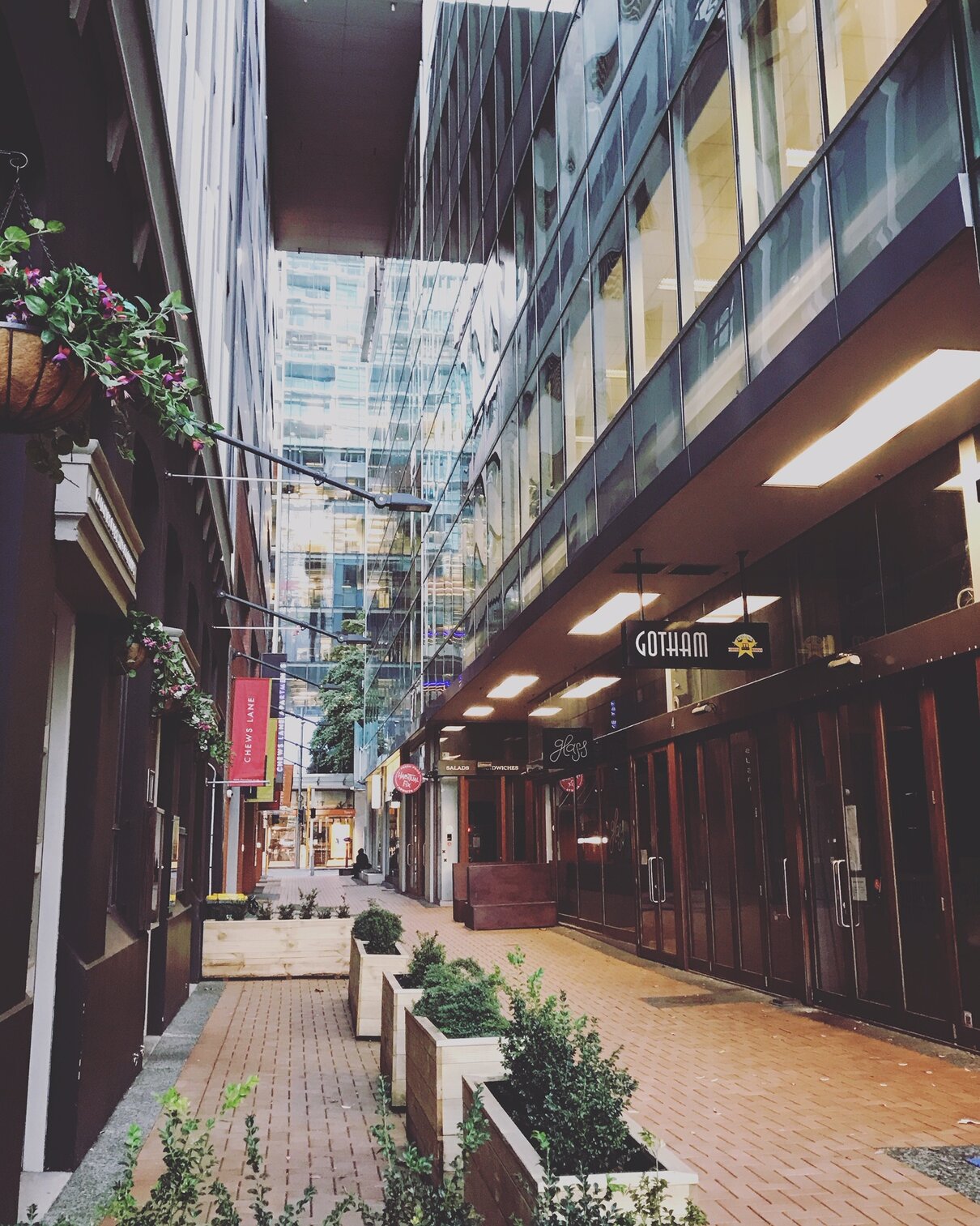 Empty Chews Lane during COVID-19 Level 4 Lock Down