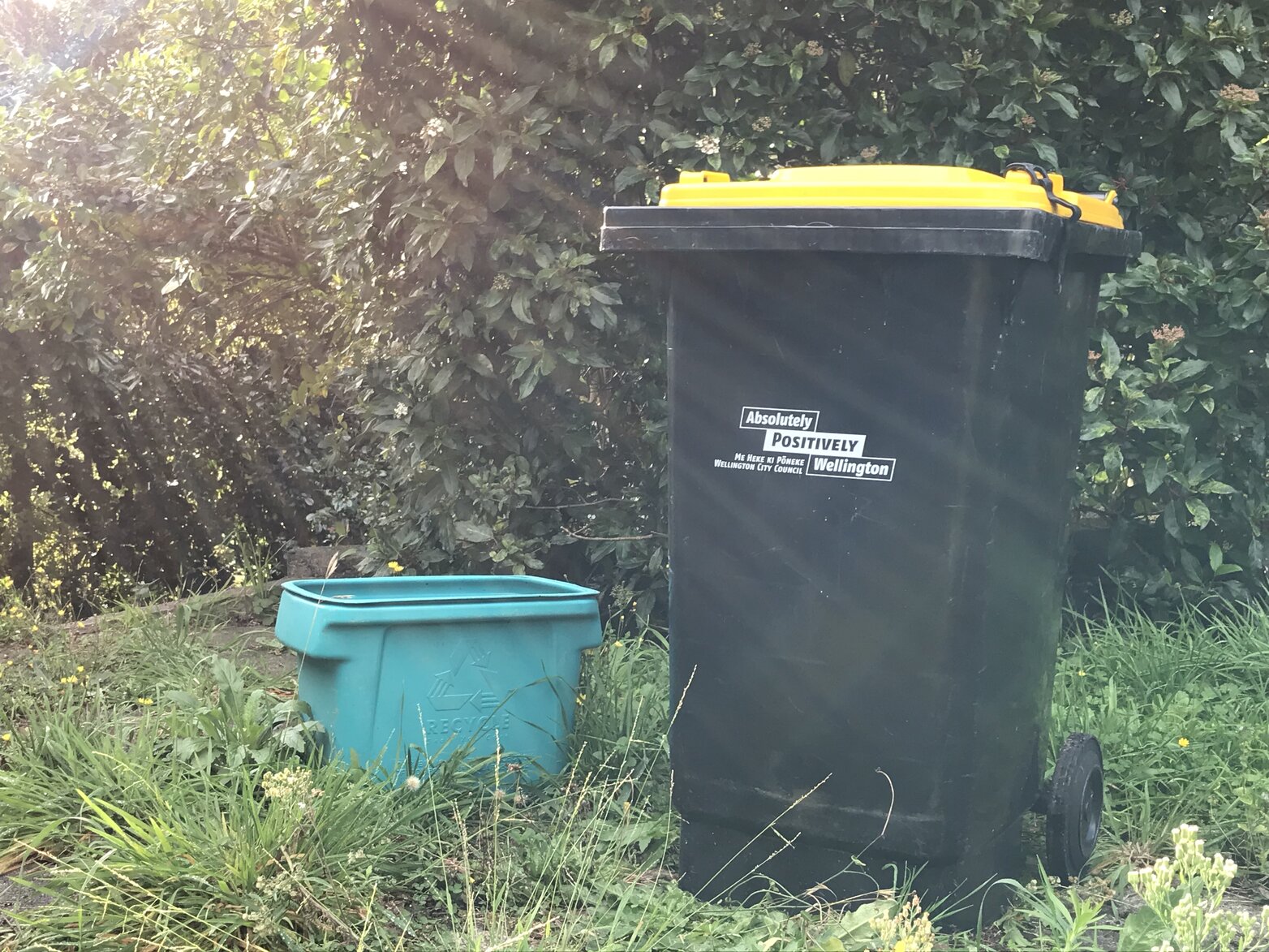 Recycling during COVID-19 Level 2