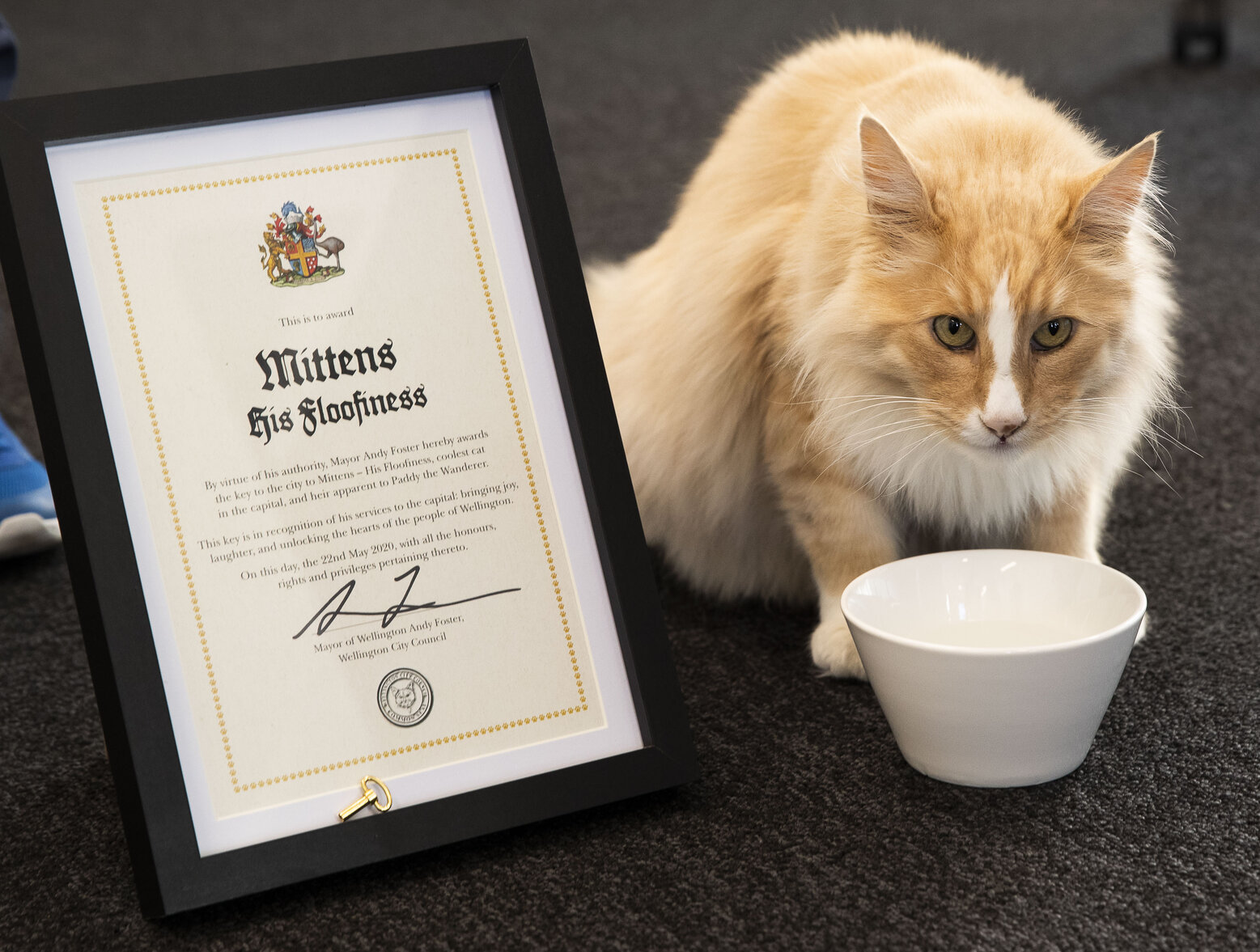 Mittens with key and certificate during COVID-19