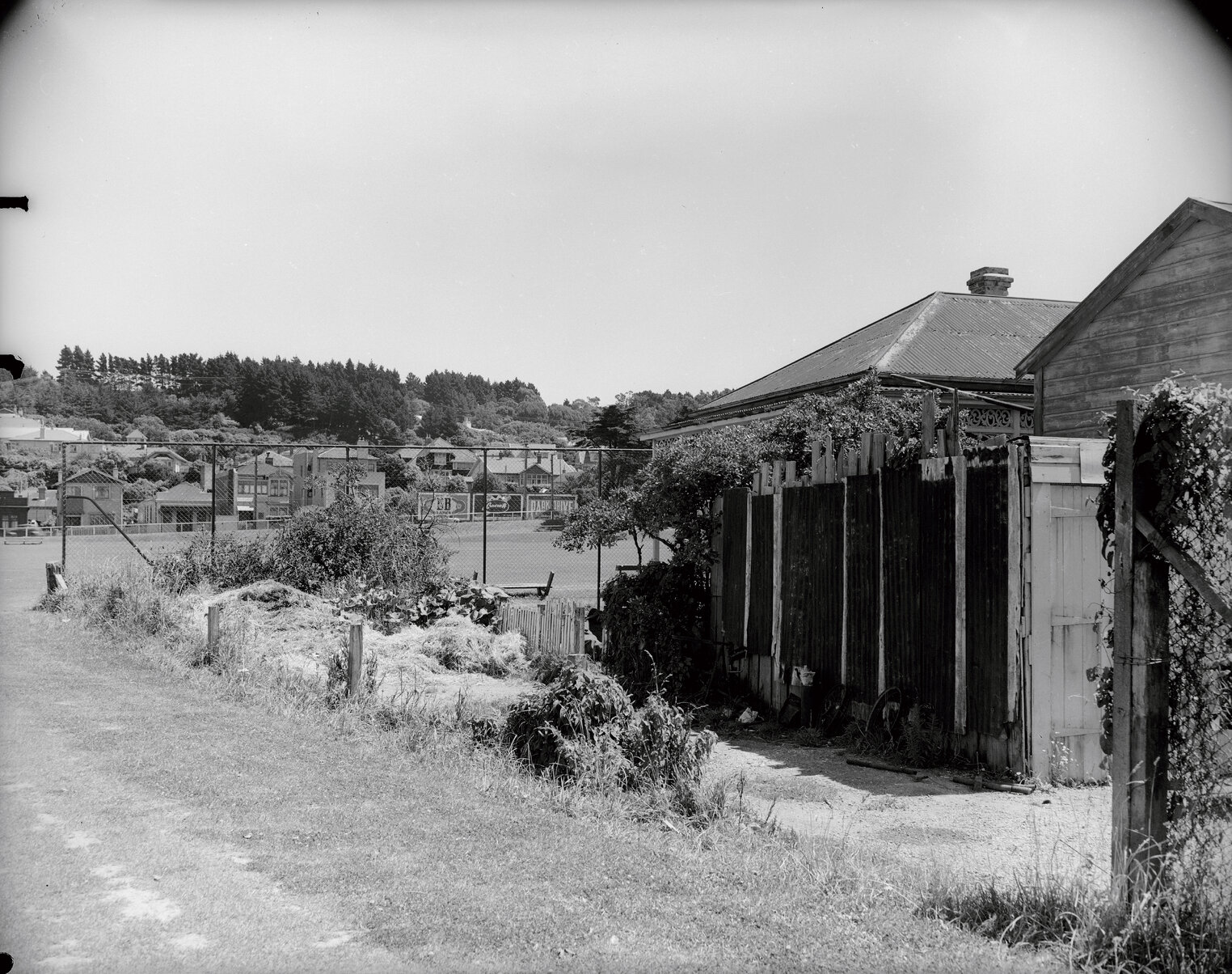 Kilbirnie Park- east corner