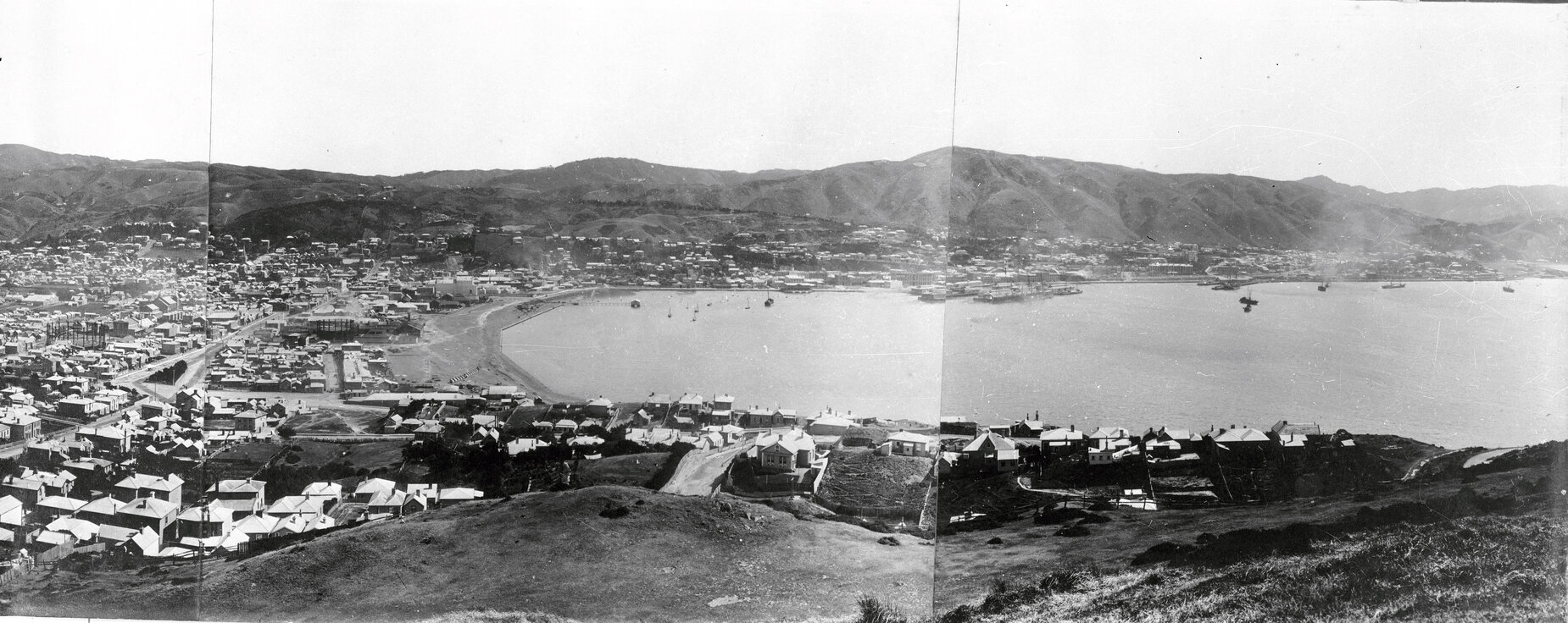 Mount Victoria panorama from slopes above Clyde Quay