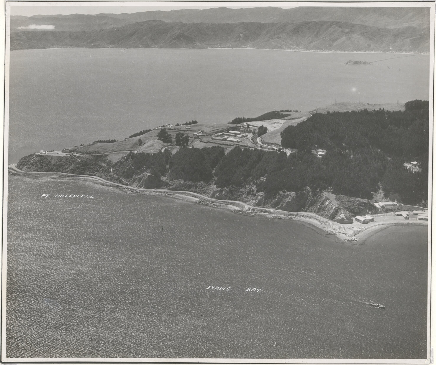 Aerial View of Wellington 1947, Point Halswell, Eastbourne in distance