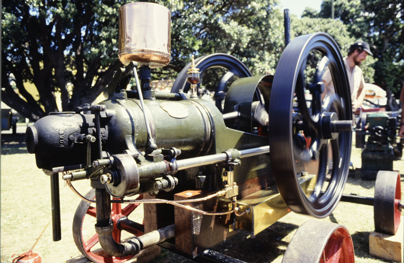 Summer City - Park Festival