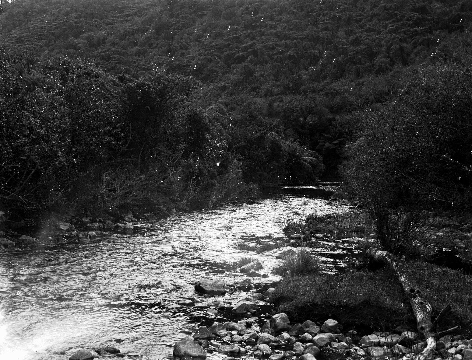 Wainui Water Works near dam