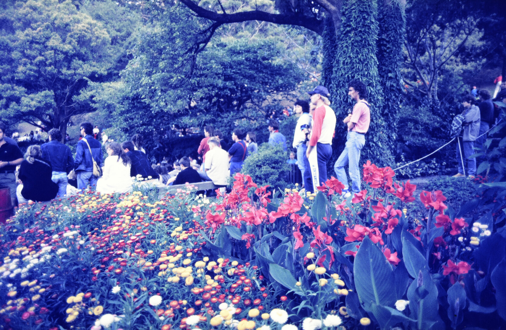 Summer City - Forecourt Festival