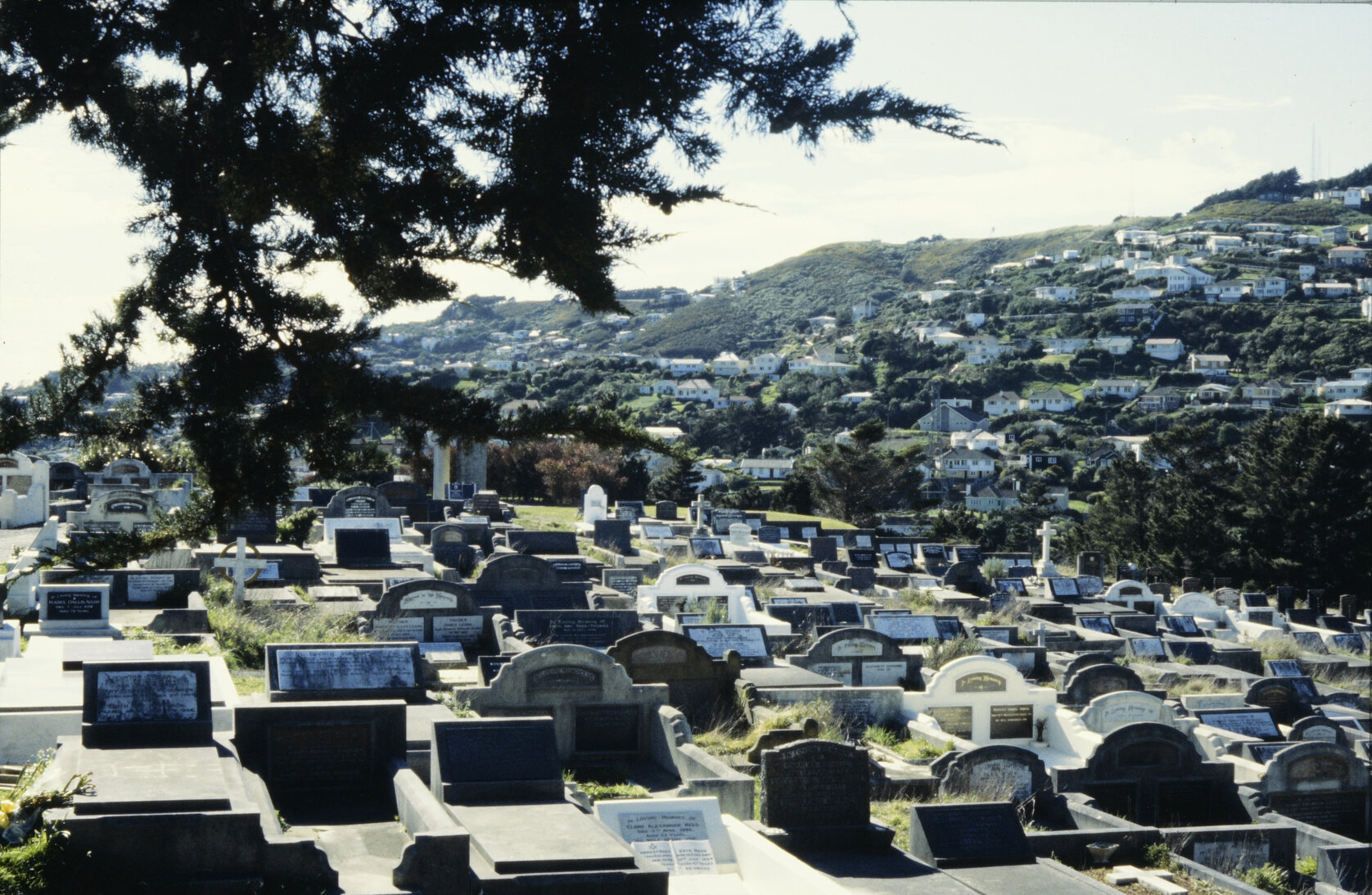 Cemeteries - Karori