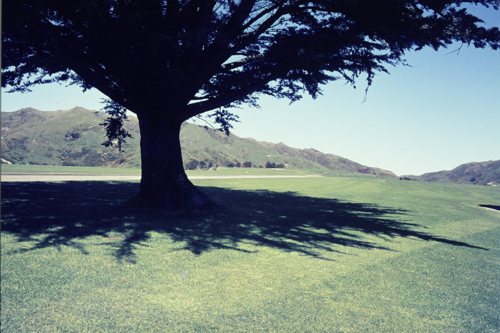 Cemeteries - Karori