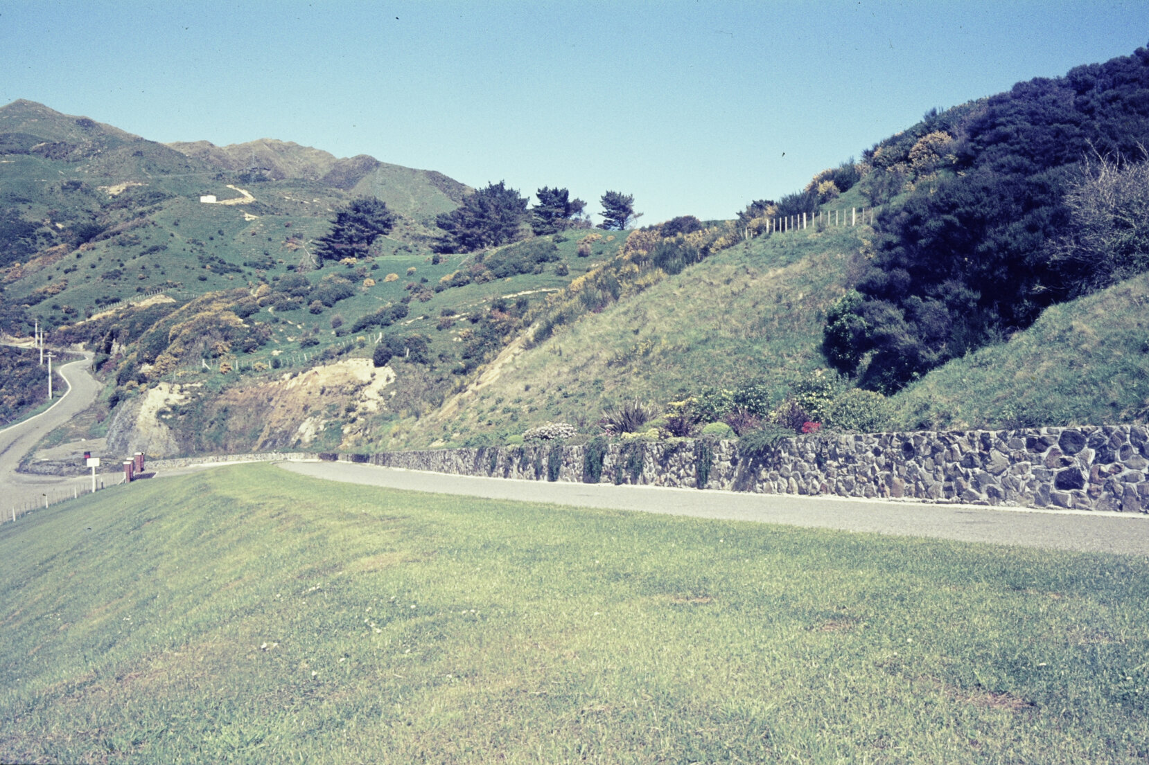 Cemeteries - Makara, main driveway