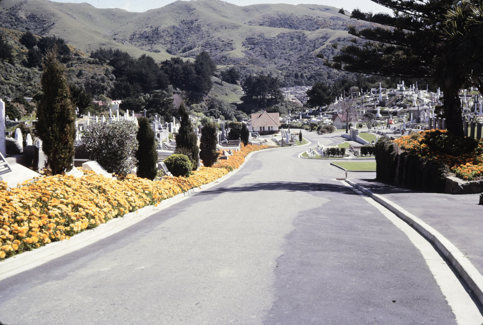 Cemeteries - Karori
