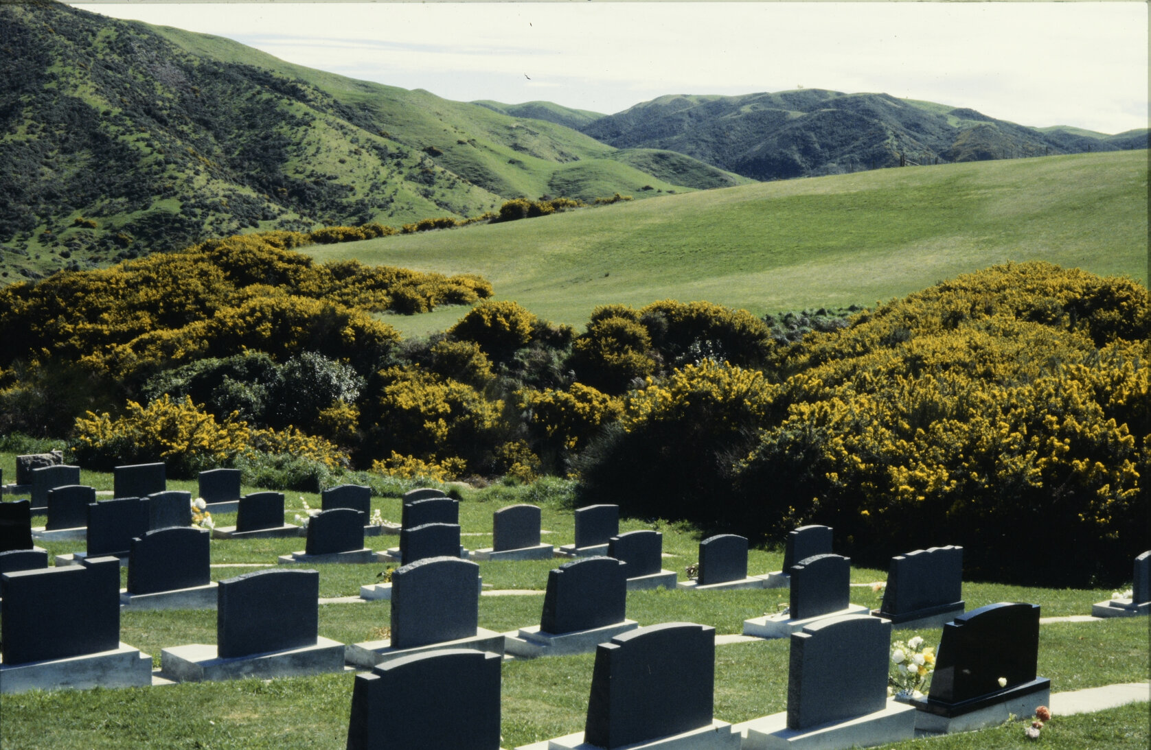 Cemeteries - Makara