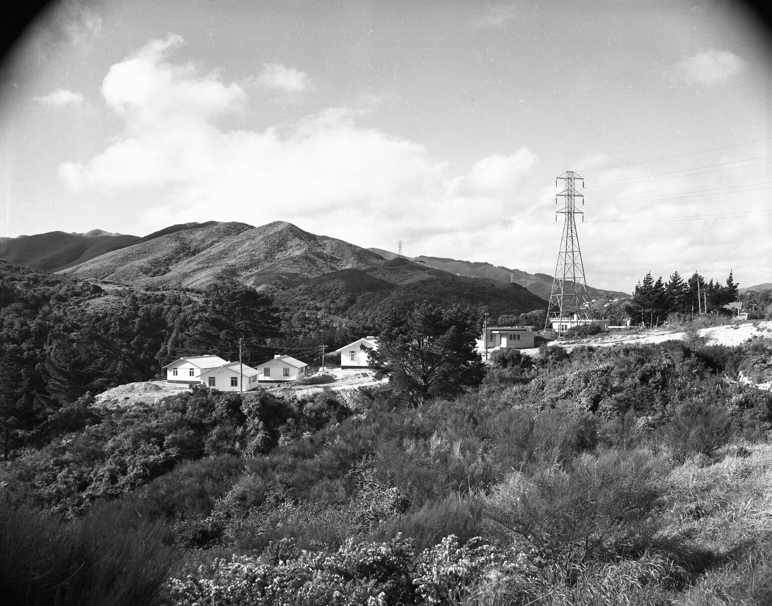 Wellington City Council Housing: Wilton