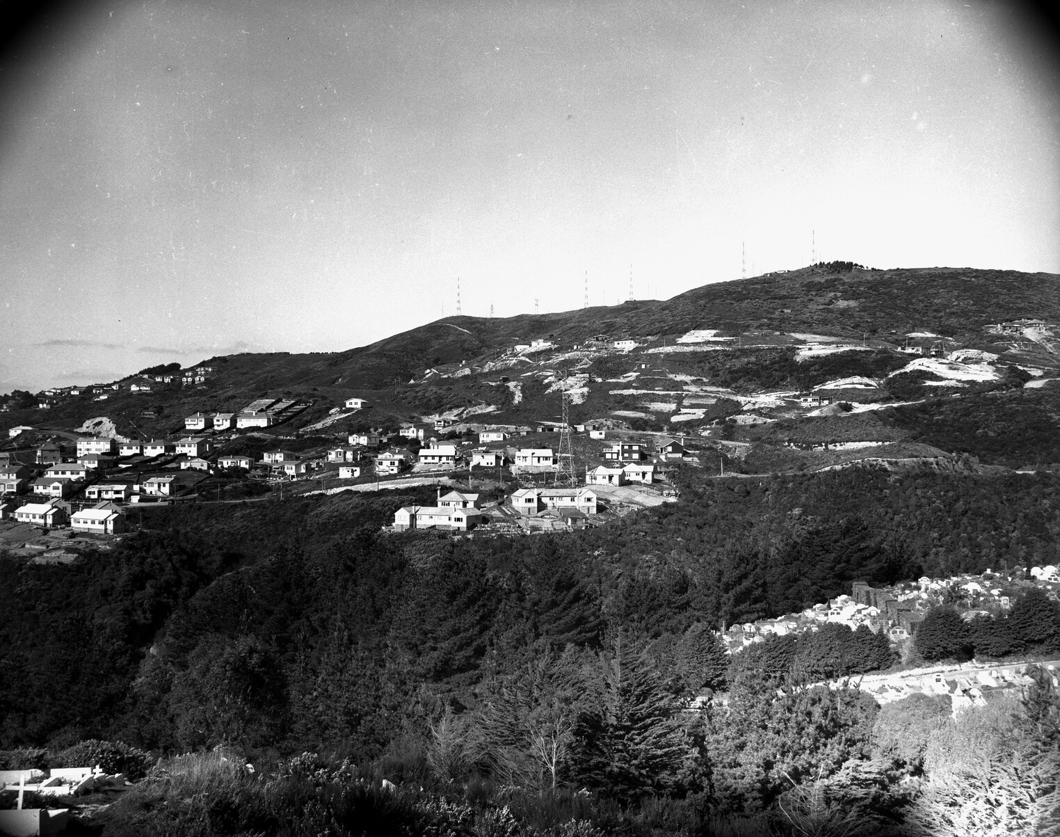 Wellington City Council Housing: Wilton