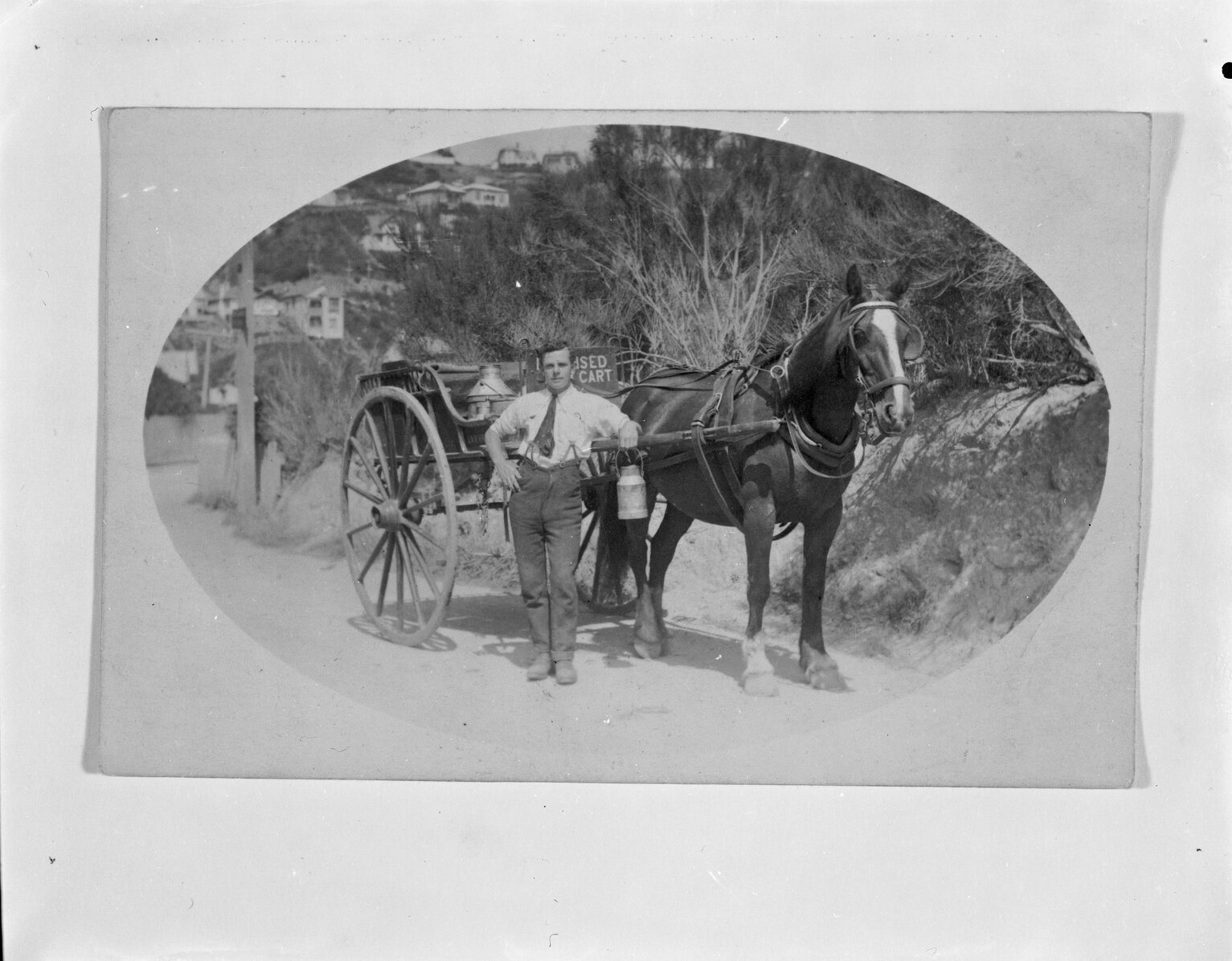 Karori- milk delivery