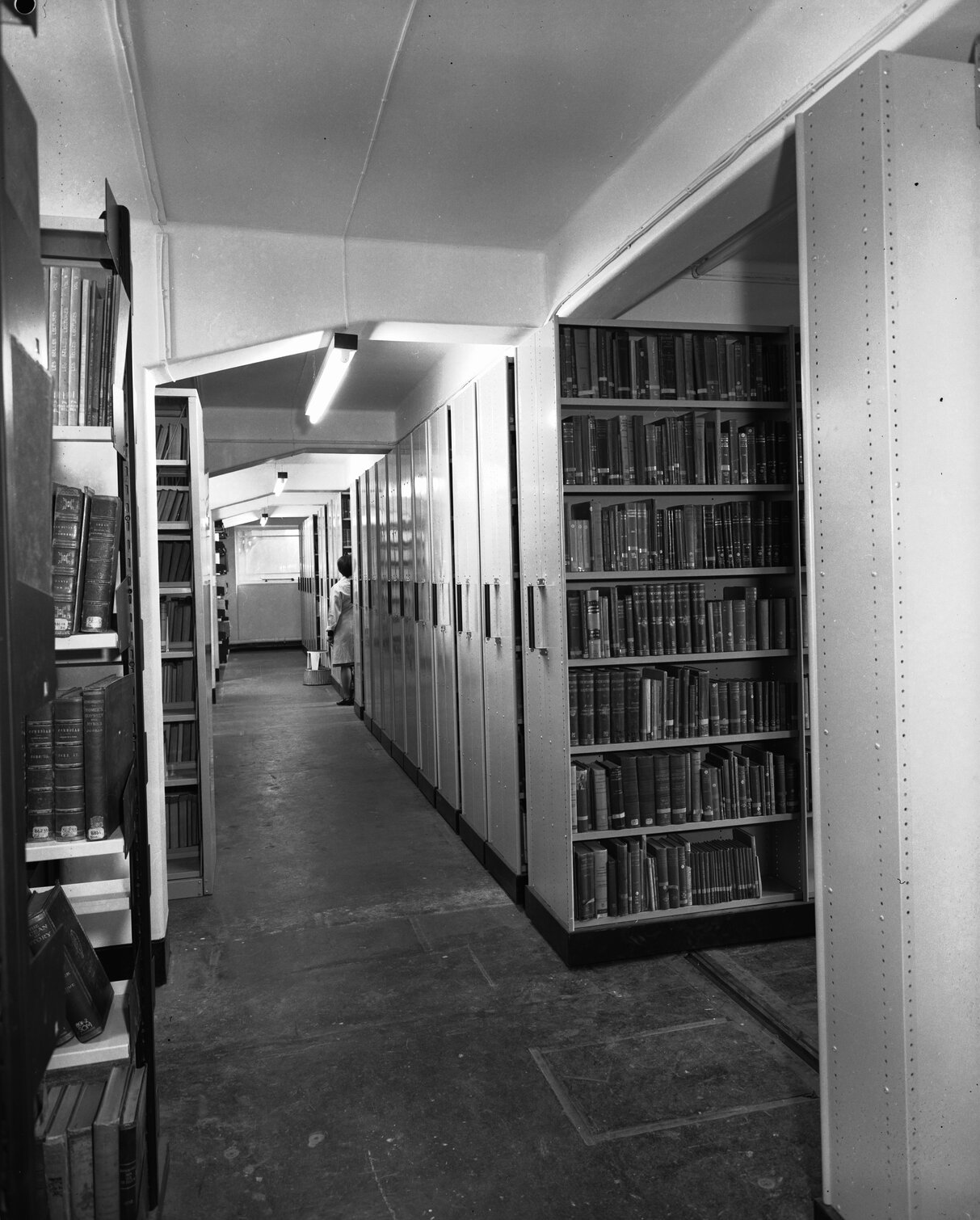Wellington Central Public Library: basement shelving