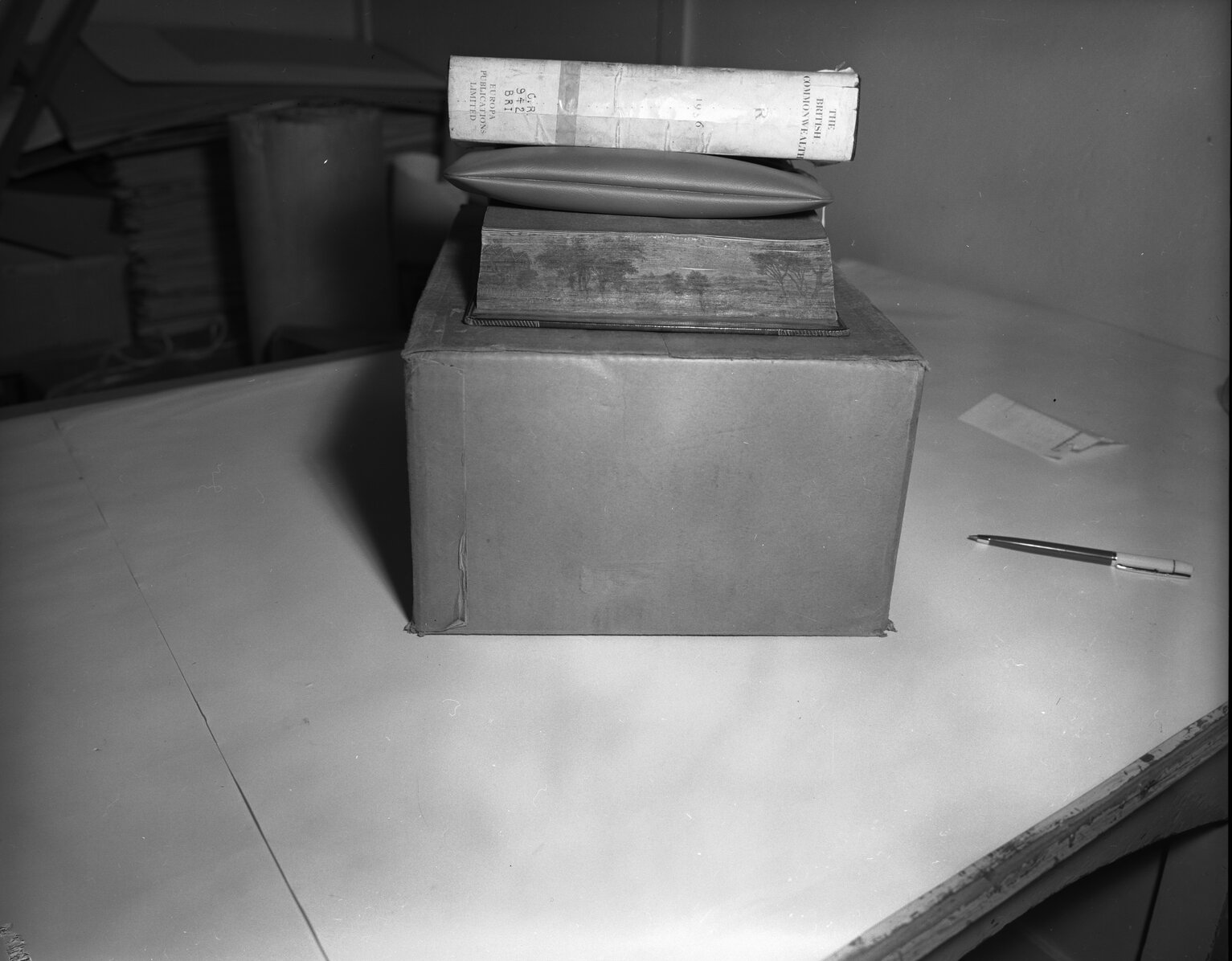 Wellington Public Library: Book of double fore-edge paintings held at WPL