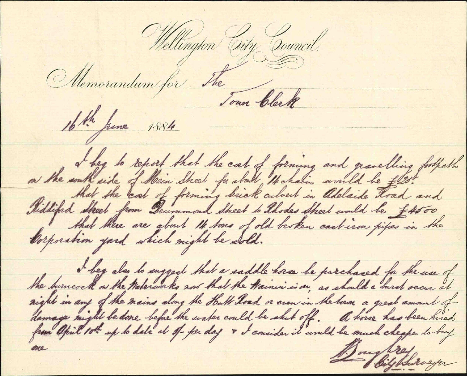 Sundry matters [Mein Street, Adelaide Road, Riddiford Street] - City Surveyor