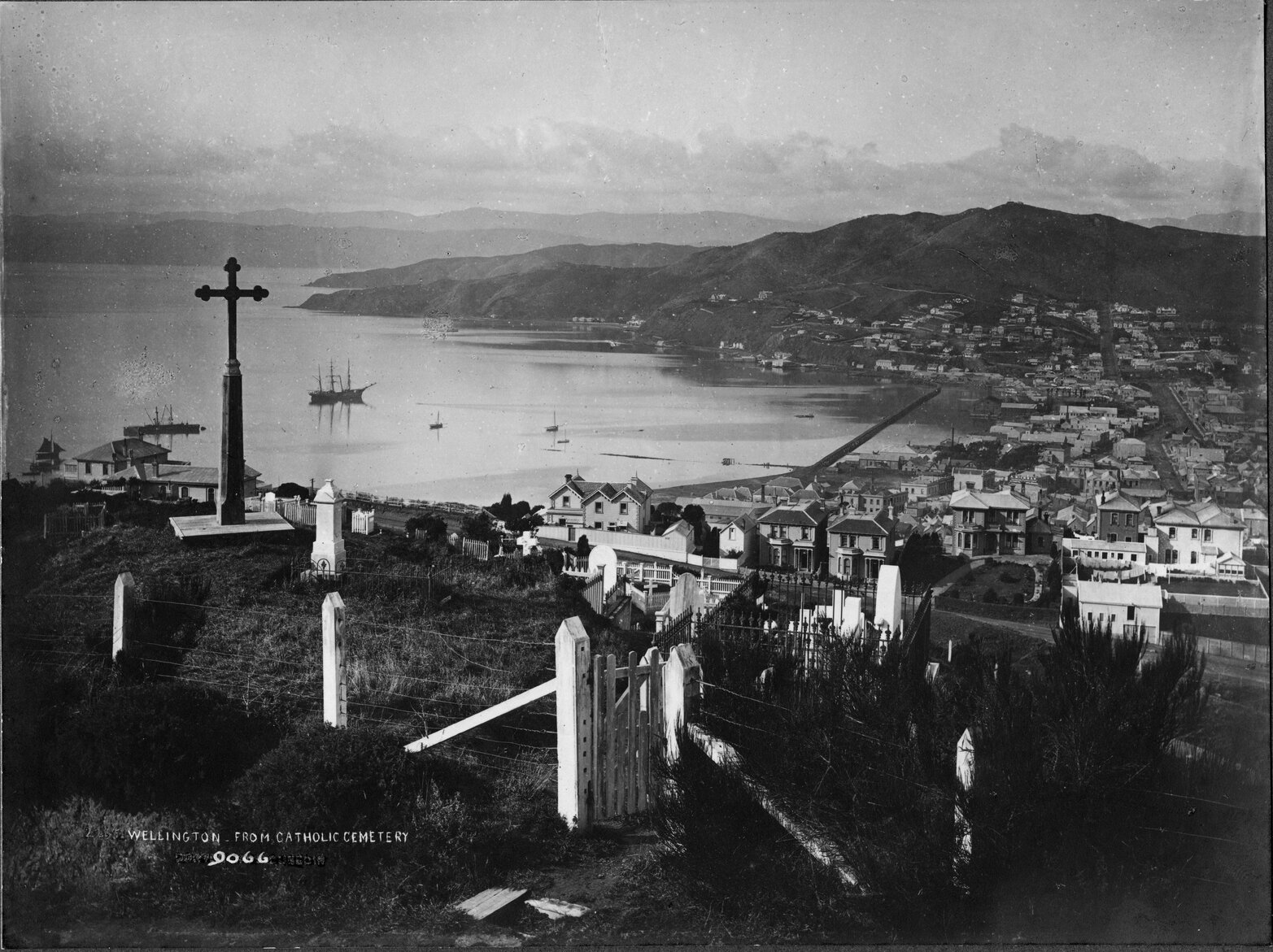 Wellington from Catholic Cemetery, [1885]