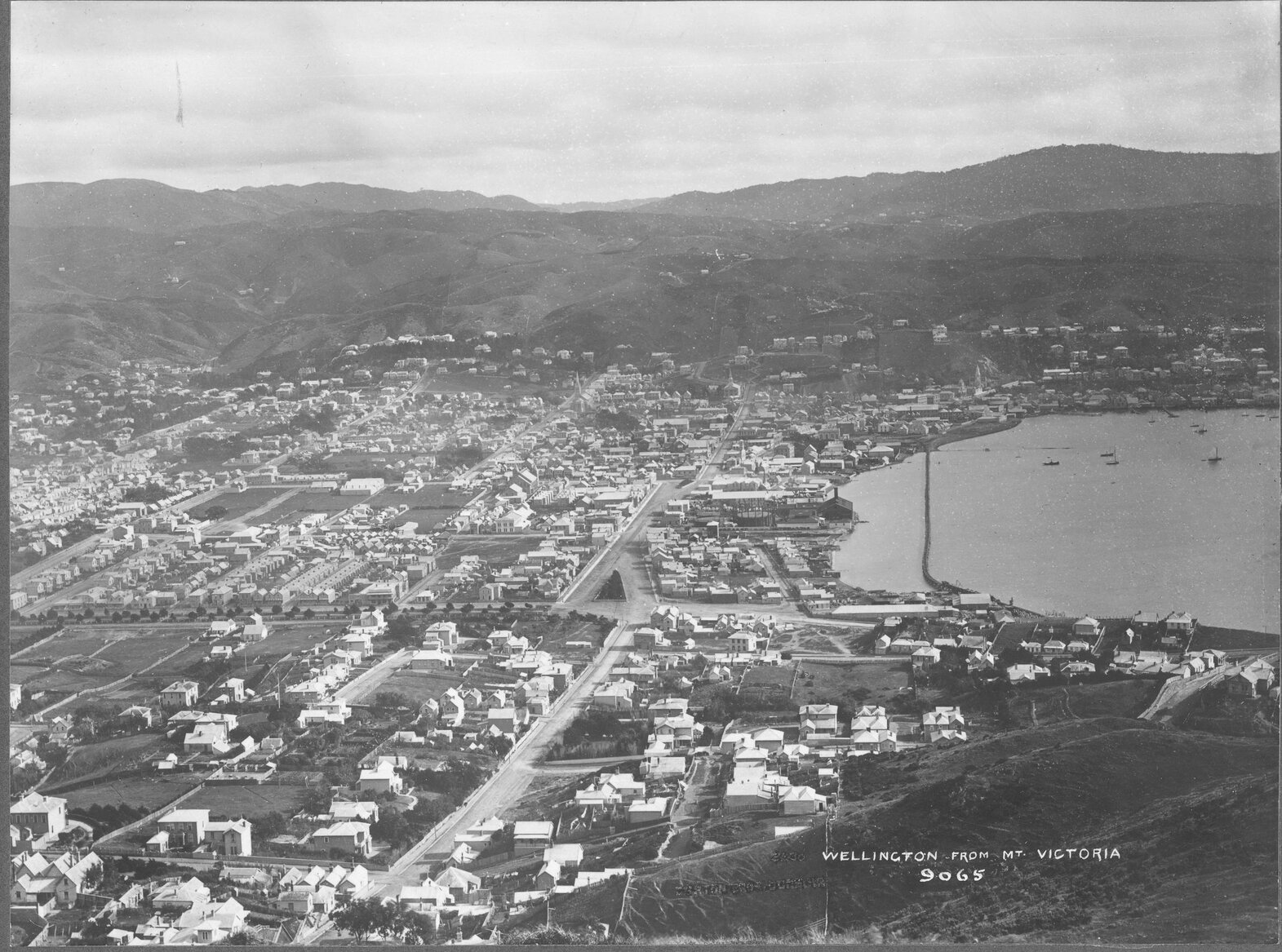 Wellington from Mount Victoria, [1884]