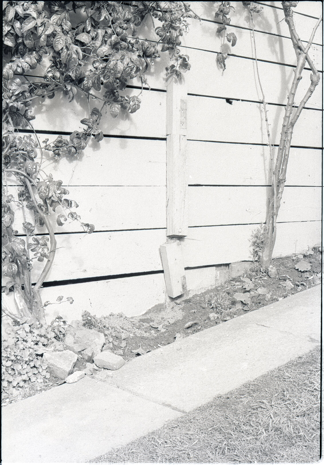 No 143, 147, 149 Wallace Street, houses and yards, stormwater excavation at no 143, Addison