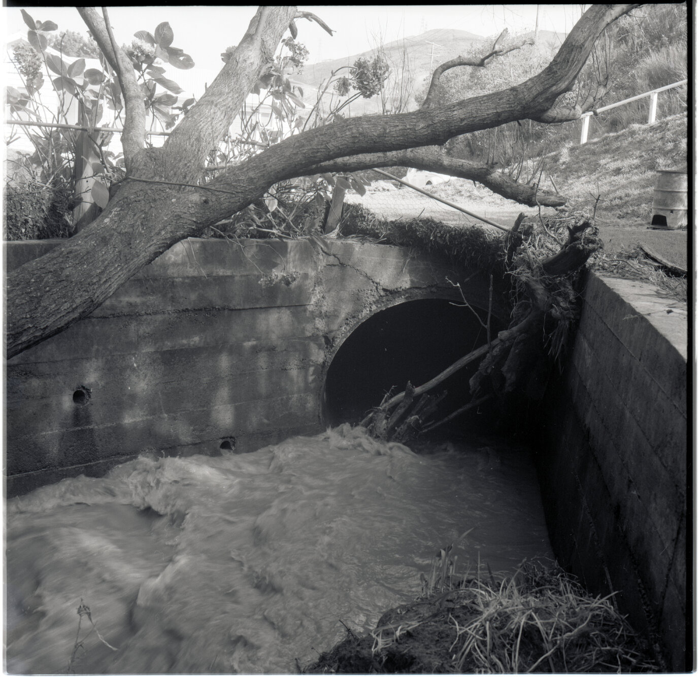 n. 55 Waikowhai Street