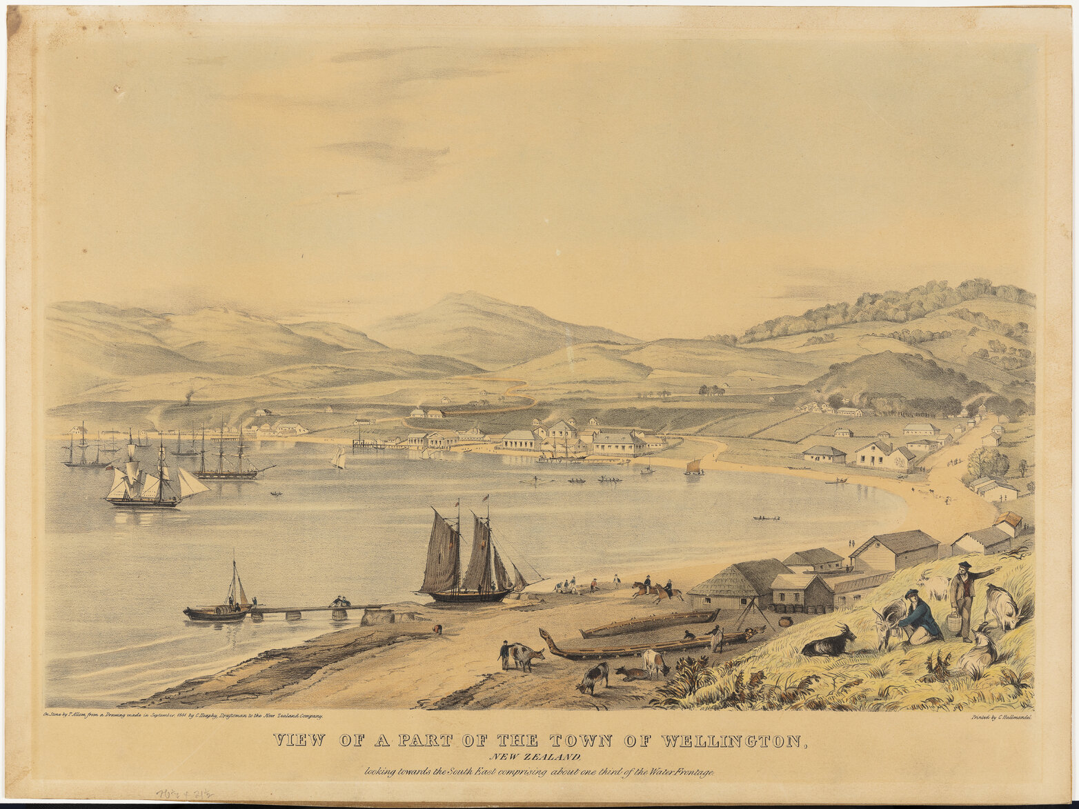 View of a part of the Town of Wellington, New Zealand, looking towards the south east comprising about one third of the water frontage