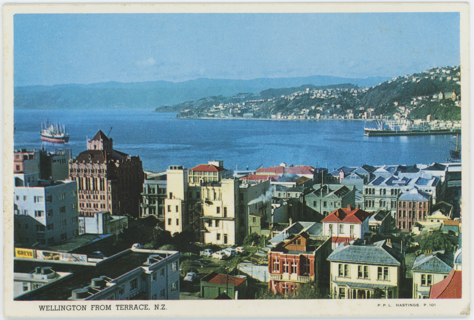 Wellington from Terrace, NZ